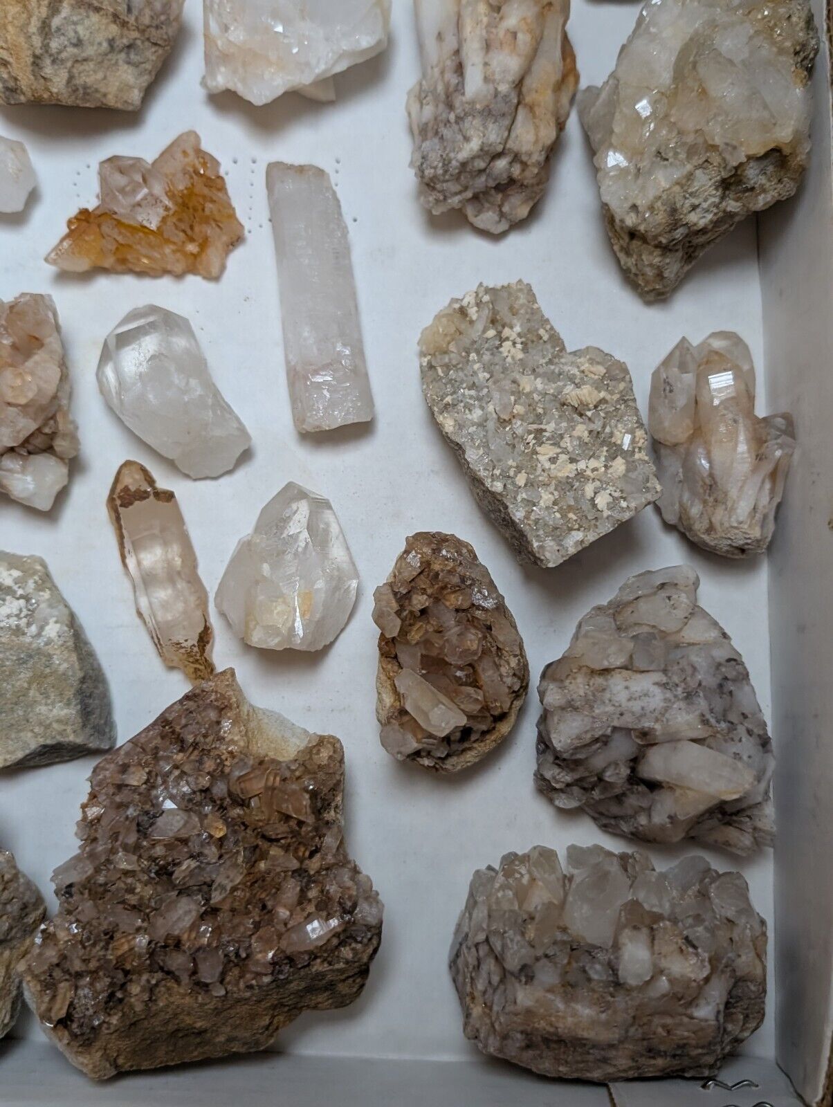 Flat of 31 Natural Quartz Crystal Specimens - Arkansas USA (Clusters Points) - Collectibles:Rocks Fossils &