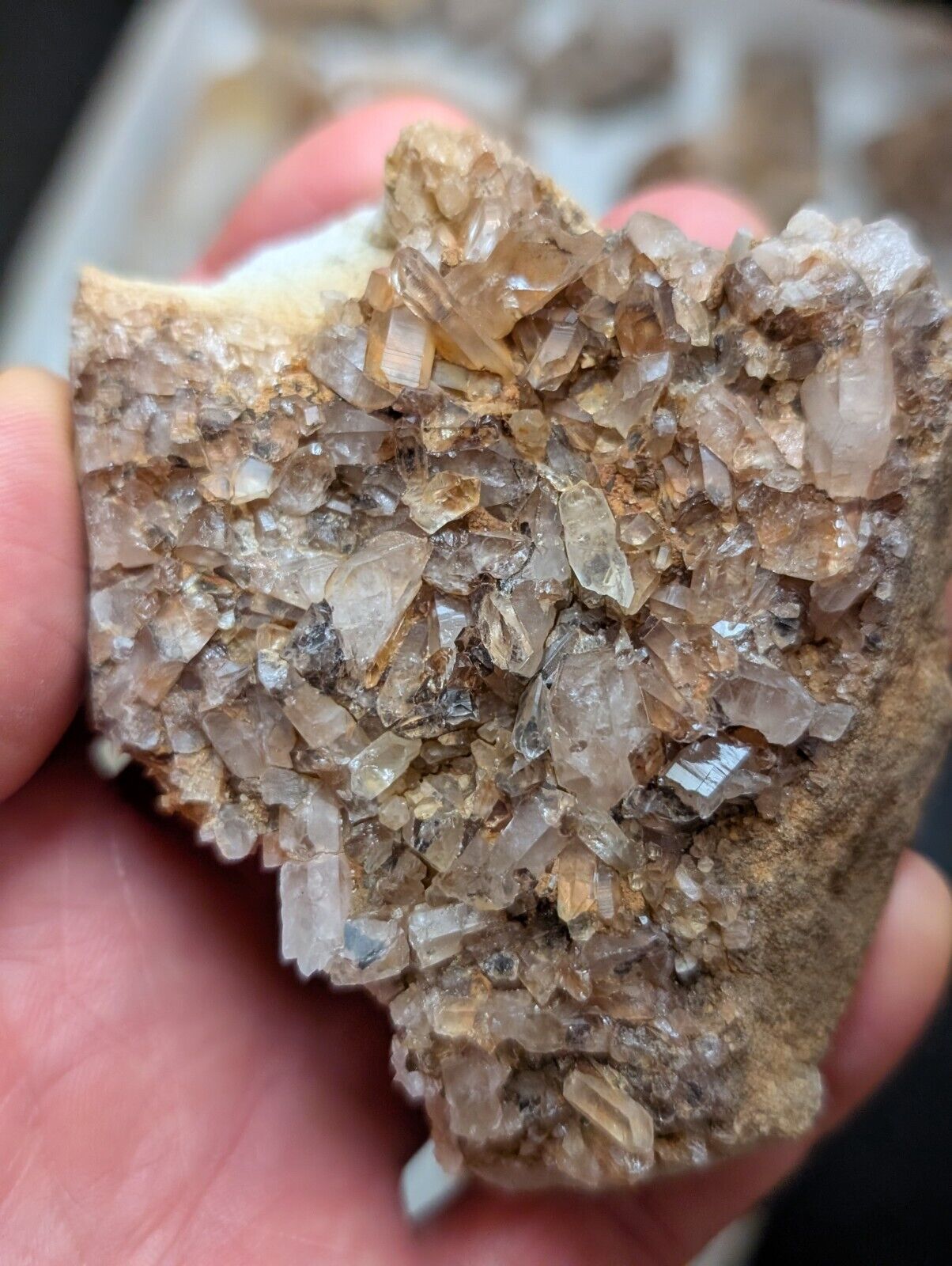 Flat of 31 Natural Quartz Crystal Specimens - Arkansas USA (Clusters Points) - Collectibles:Rocks Fossils &
