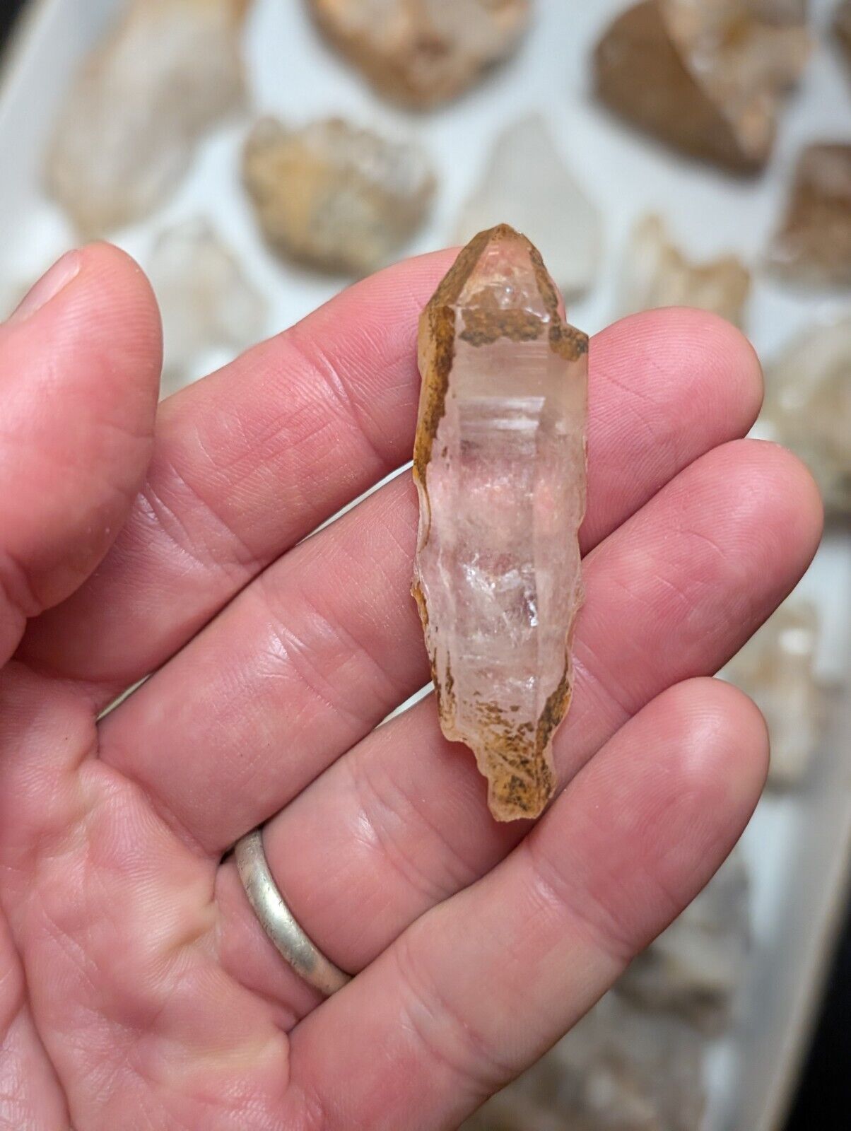 Flat of 31 Natural Quartz Crystal Specimens - Arkansas USA (Clusters Points) - Collectibles:Rocks Fossils &