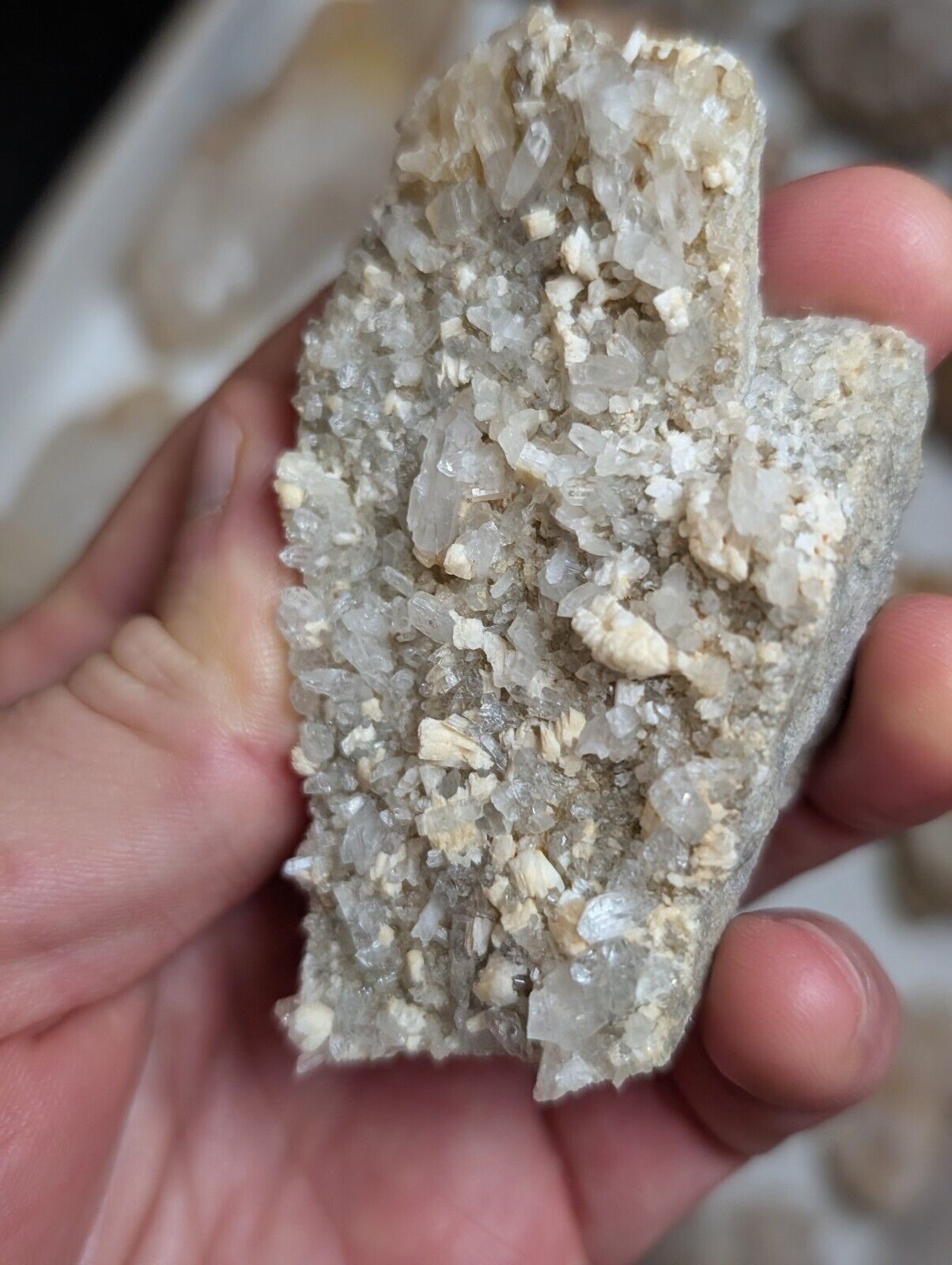 Flat of 31 Natural Quartz Crystal Specimens - Arkansas USA (Clusters Points) - Collectibles:Rocks Fossils &