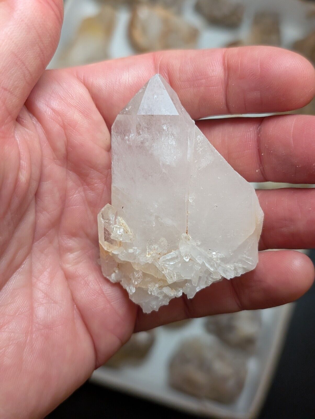 Flat of 31 Natural Quartz Crystal Specimens - Arkansas USA (Clusters Points) - Collectibles:Rocks Fossils &