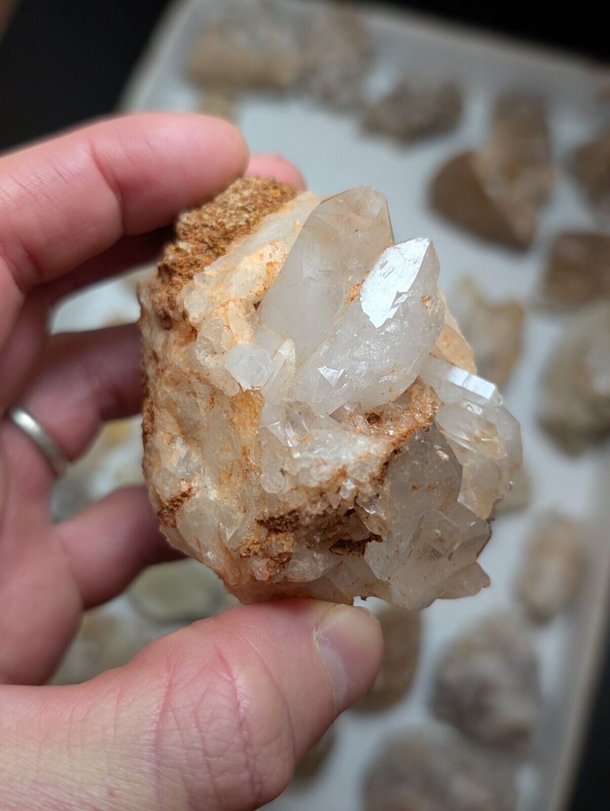 Flat of 31 Natural Quartz Crystal Specimens - Arkansas USA (Clusters Points) - Collectibles:Rocks Fossils &