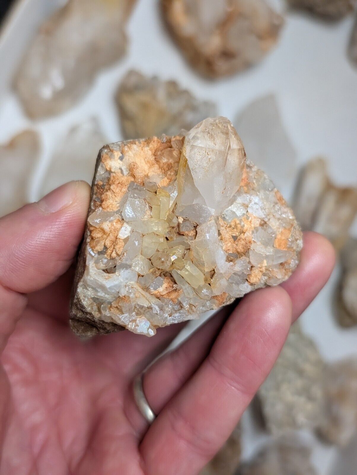 Flat of 31 Natural Quartz Crystal Specimens - Arkansas USA (Clusters Points) - Collectibles:Rocks Fossils &