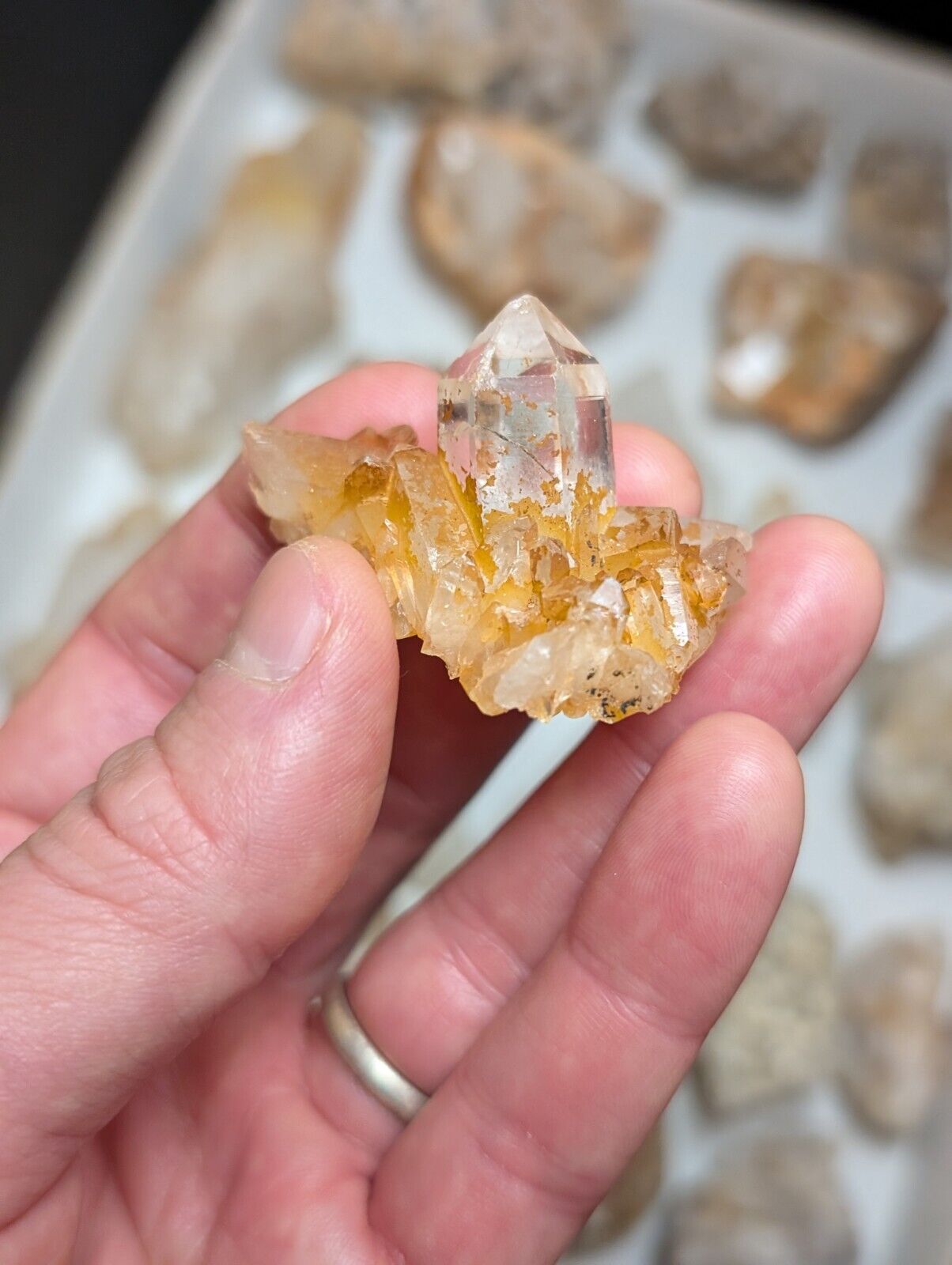 Flat of 31 Natural Quartz Crystal Specimens - Arkansas USA (Clusters Points) - Collectibles:Rocks Fossils &