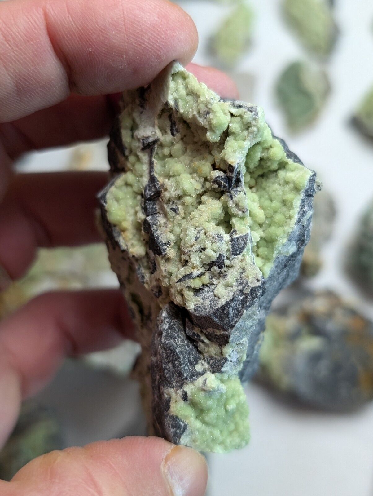 Flat of 35 Wavellite Specimens (Arkansas USA) - OOAK Natural Crystal Clusters - Collectibles:Rocks Fossils &
