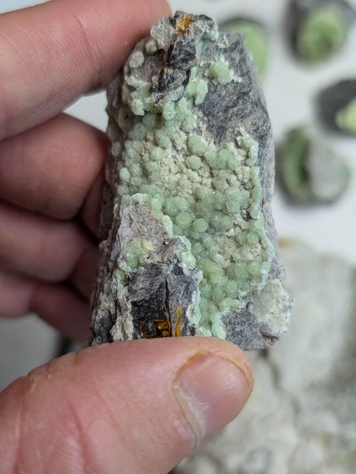 Flat of 35 Wavellite Specimens (Arkansas USA) - OOAK Natural Crystal Clusters - Collectibles:Rocks Fossils &