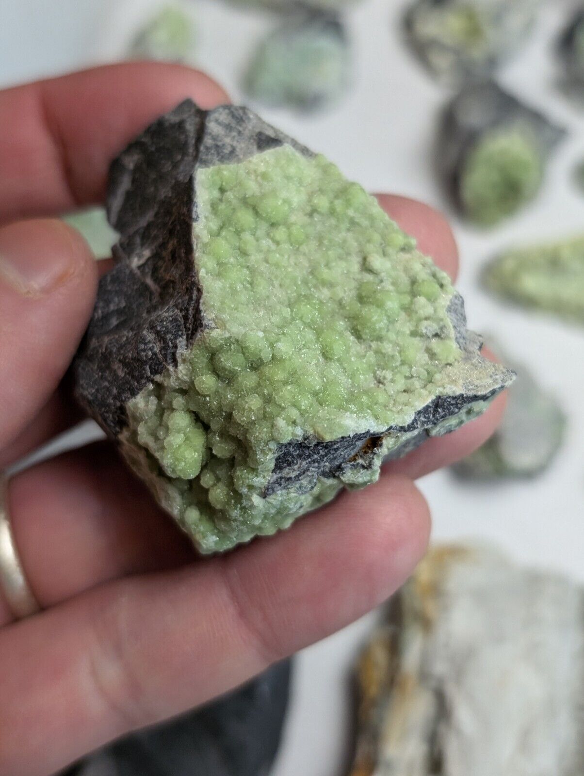 Flat of 35 Wavellite Specimens (Arkansas USA) - OOAK Natural Crystal Clusters - Collectibles:Rocks Fossils &