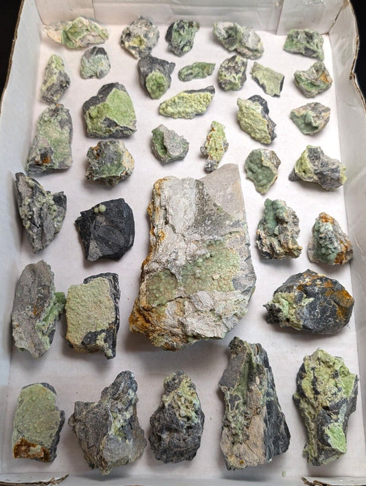 Flat of 35 Wavellite Specimens (Arkansas USA) - OOAK Natural Crystal Clusters - Collectibles:Rocks Fossils &