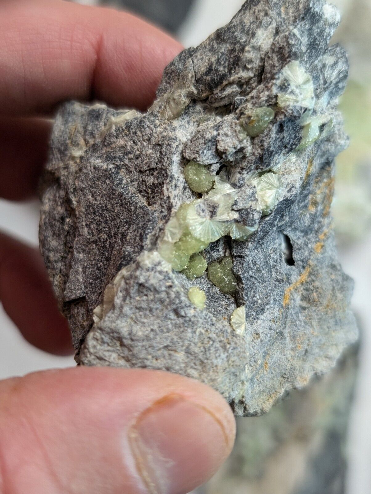 Flat of 35 Wavellite Specimens (Arkansas USA) - OOAK Natural Crystal Clusters - Collectibles:Rocks Fossils &