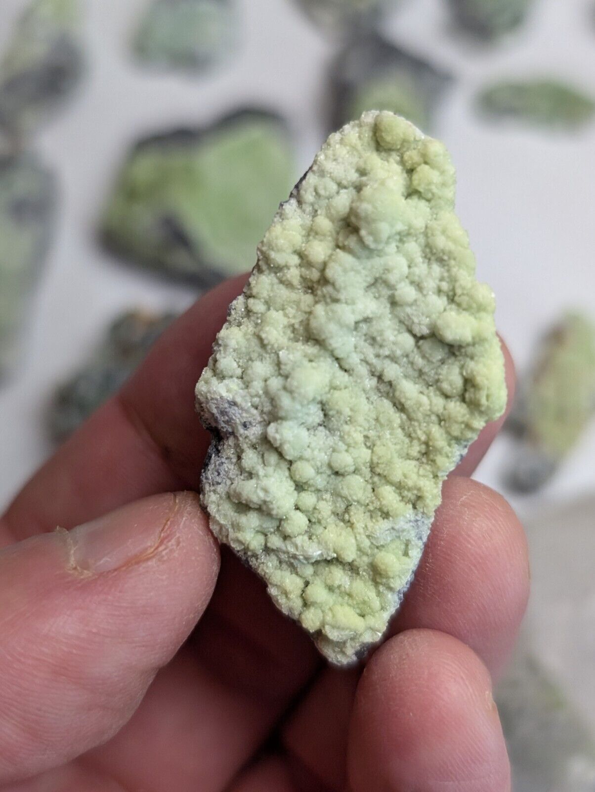 Flat of 35 Wavellite Specimens (Arkansas USA) - OOAK Natural Crystal Clusters - Collectibles:Rocks Fossils &