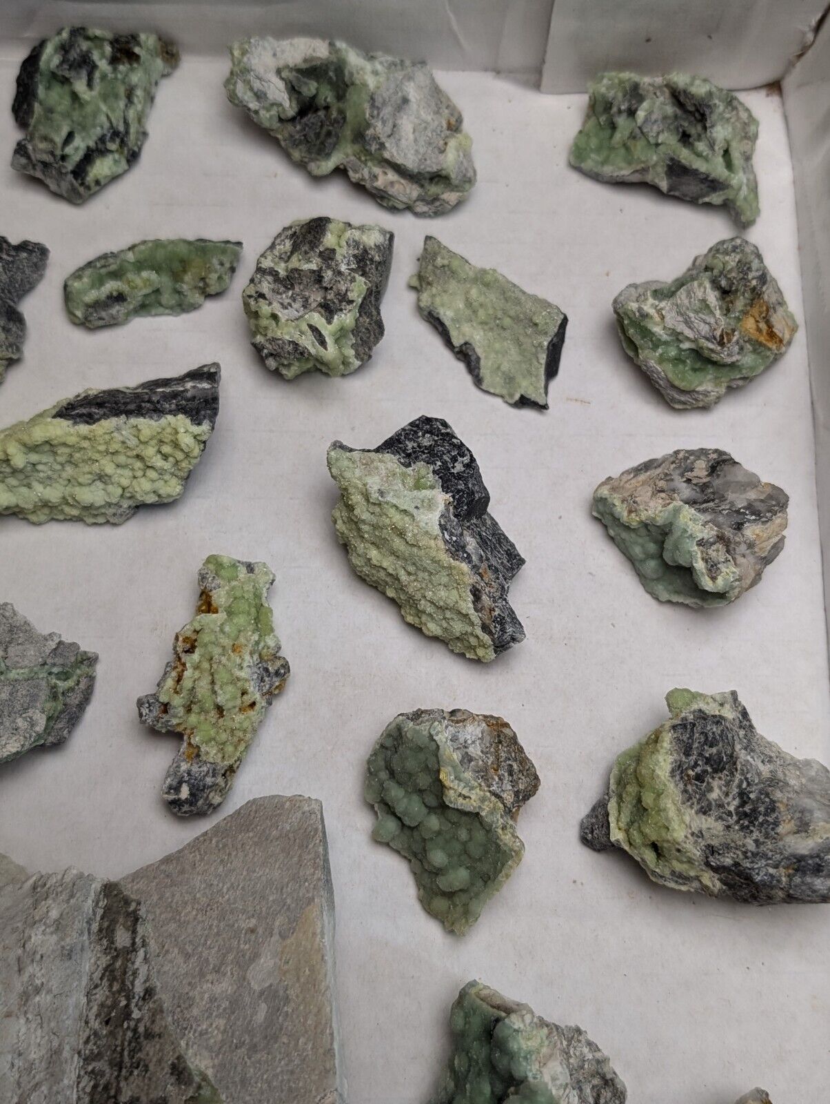 Flat of 35 Wavellite Specimens (Arkansas USA) - OOAK Natural Crystal Clusters - Collectibles:Rocks Fossils &