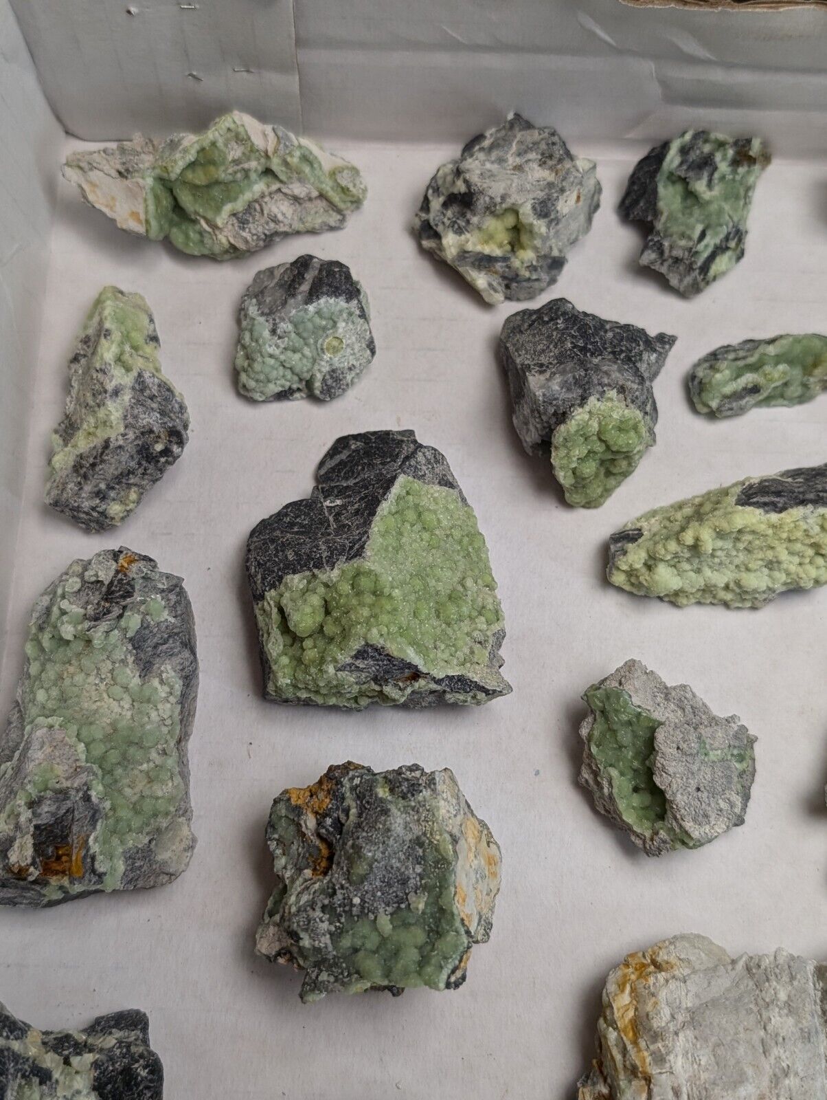 Flat of 35 Wavellite Specimens (Arkansas USA) - OOAK Natural Crystal Clusters - Collectibles:Rocks Fossils &