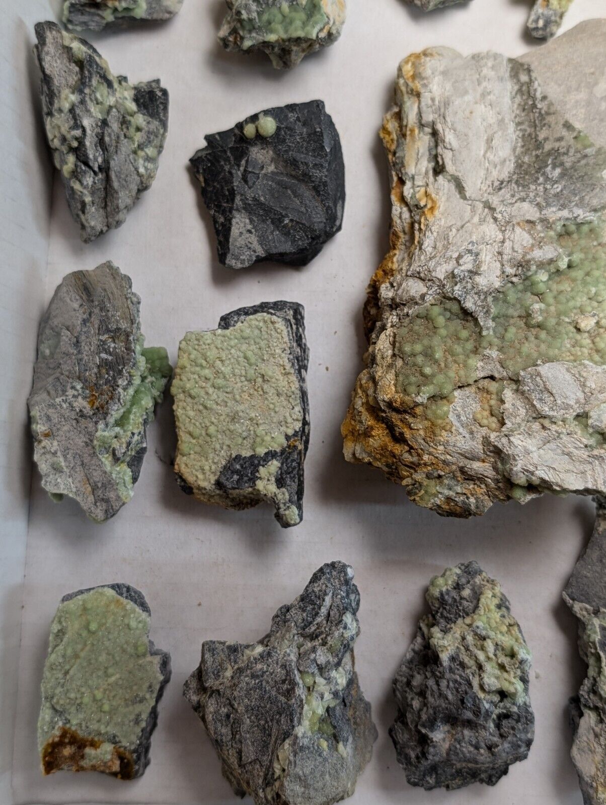 Flat of 35 Wavellite Specimens (Arkansas USA) - OOAK Natural Crystal Clusters - Collectibles:Rocks Fossils &