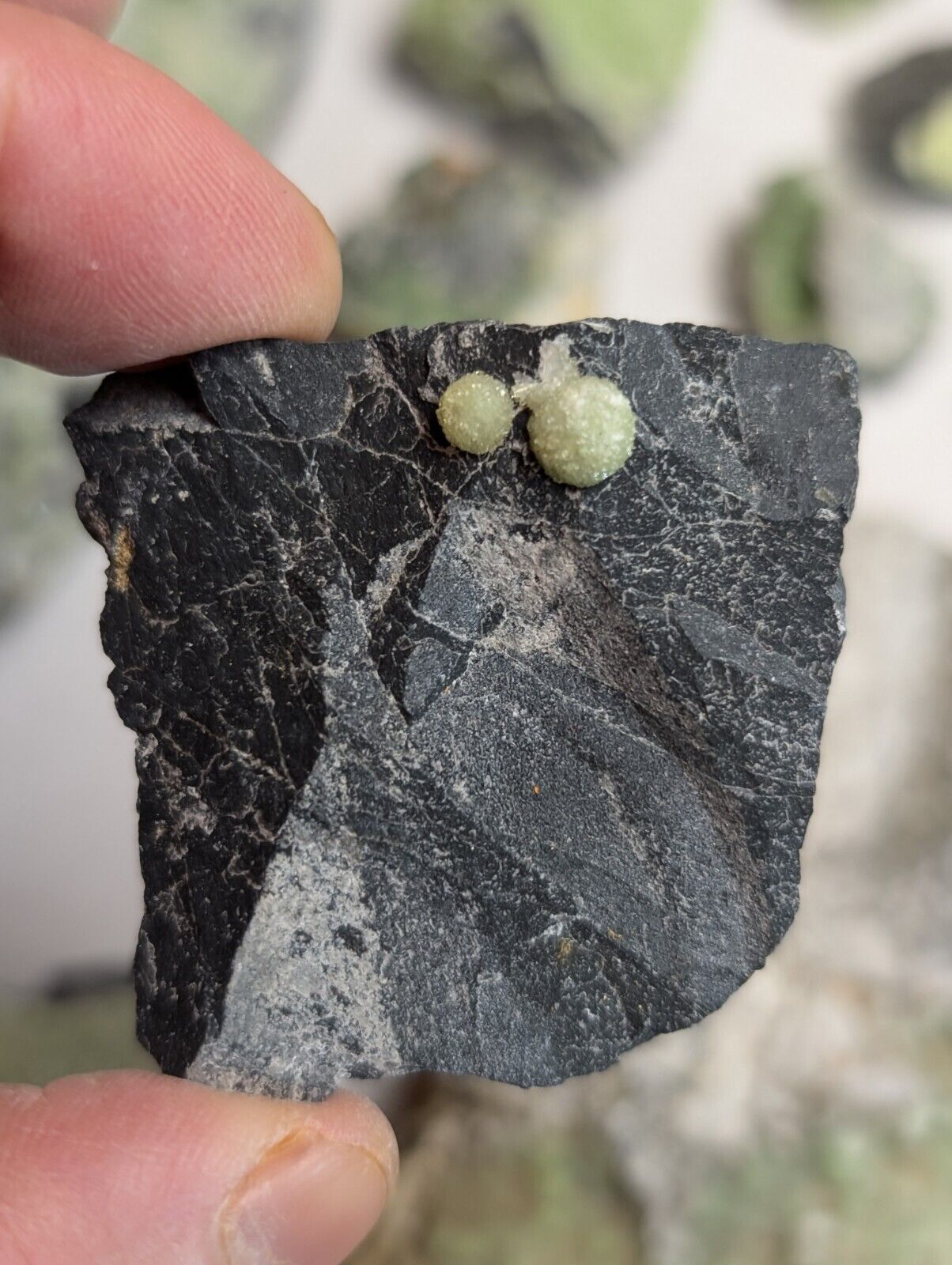 Flat of 35 Wavellite Specimens (Arkansas USA) - OOAK Natural Crystal Clusters - Collectibles:Rocks Fossils &
