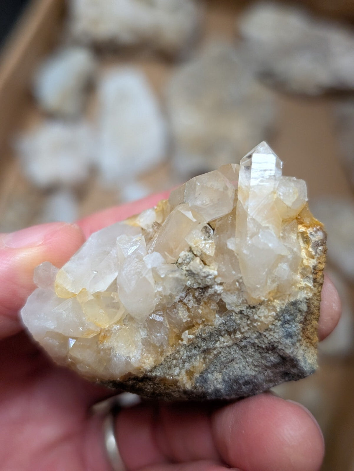 A hand holds a quartz crystal cluster with translucent, pale yellow and white crystals growing from a rough gray rock base.
