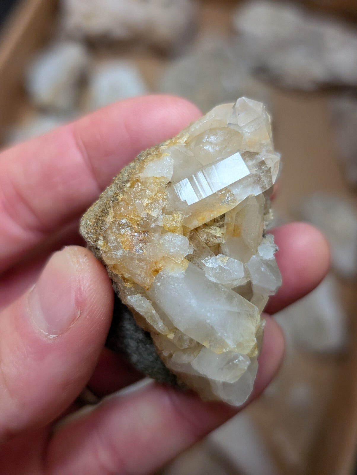 A hand holds a translucent quartz crystal cluster with golden-yellow veining and clear, faceted crystals.