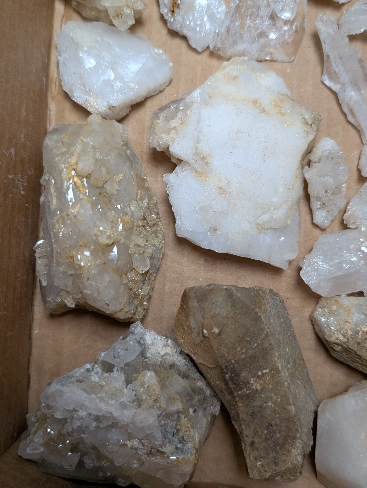 Irregularly shaped, translucent white quartz crystals with golden mineral inclusions.