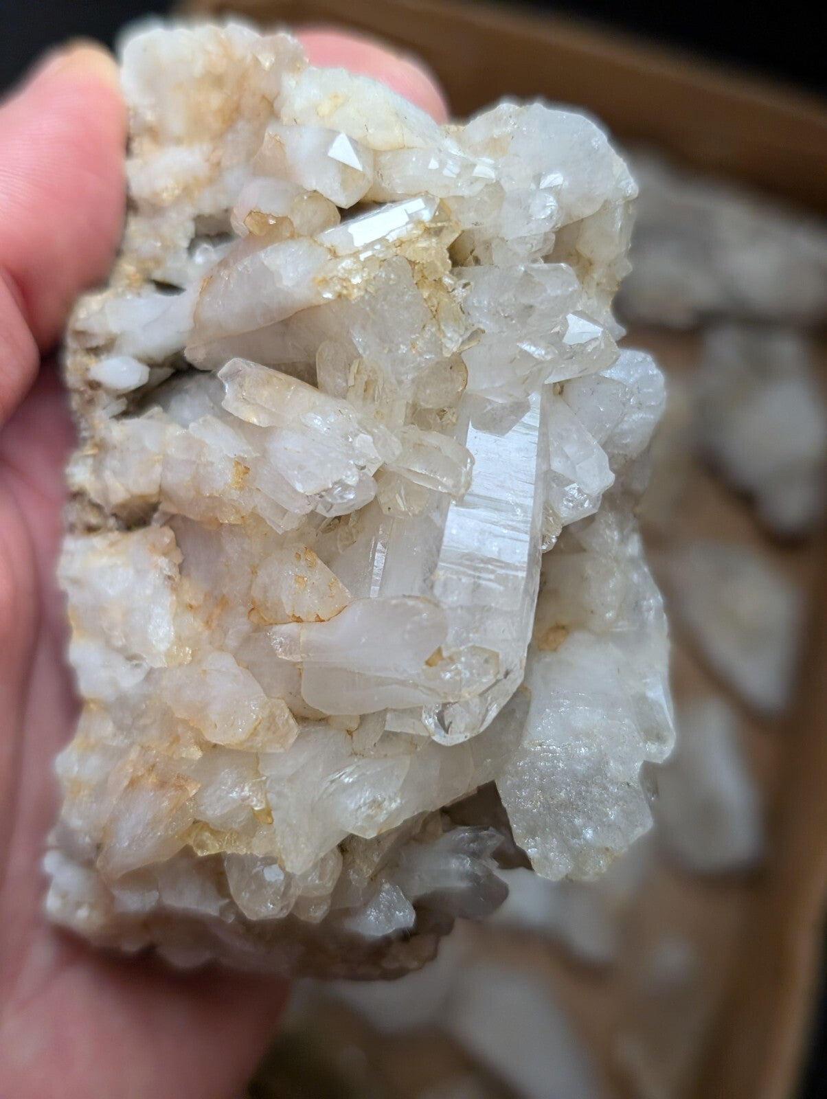A translucent white quartz crystal cluster with golden inclusions and sharp, faceted points.