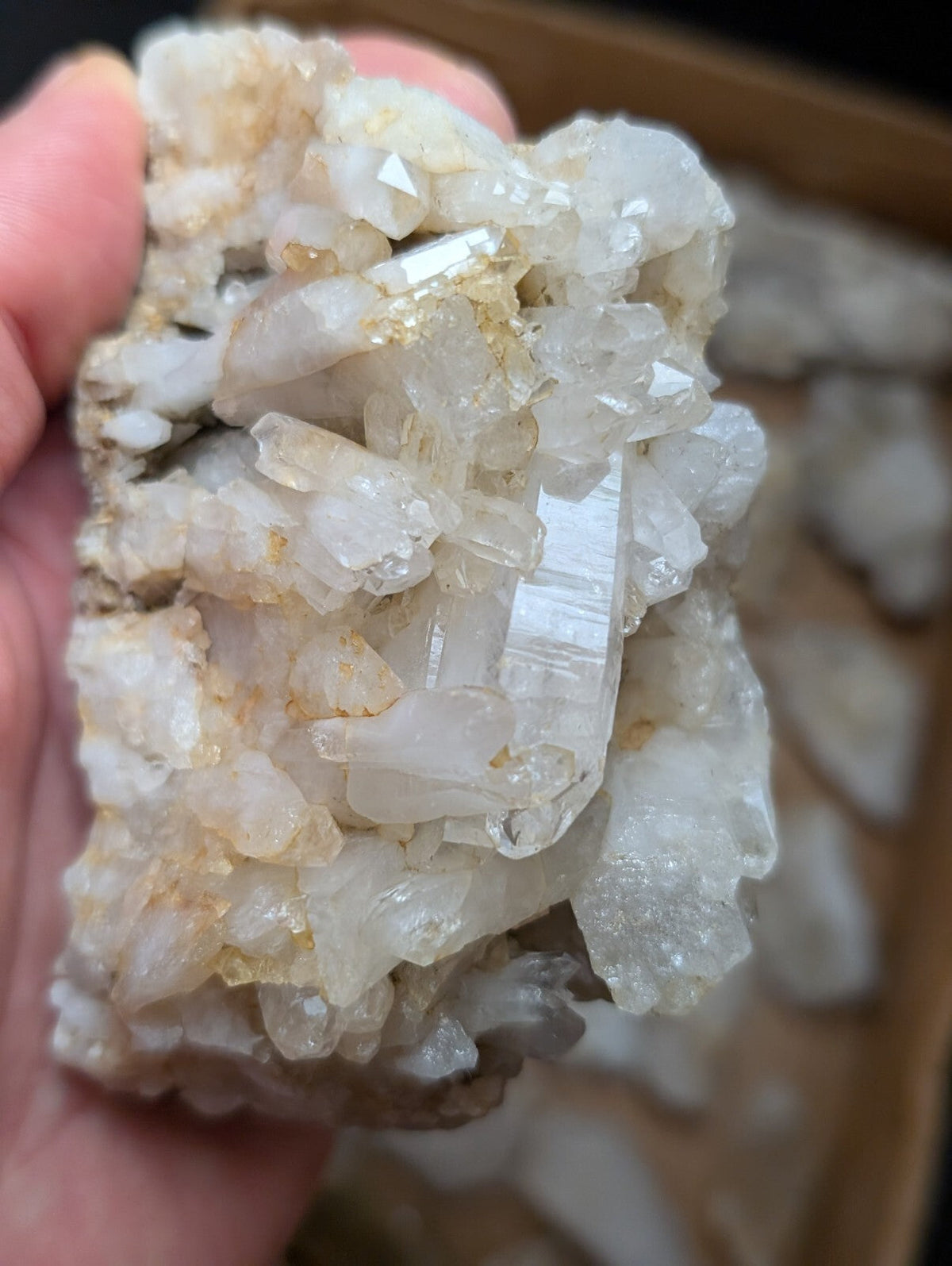 A translucent white quartz crystal cluster with golden inclusions and sharp, faceted points.
