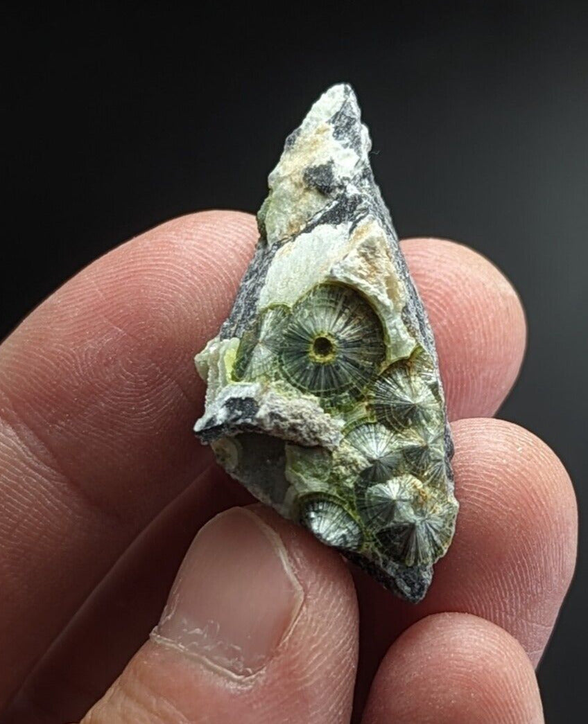 Fluorescent Wavellite - Fantastic Old Stock - Mauldin Mountain Arkansas ooak - Collectibles:Rocks Fossils &
