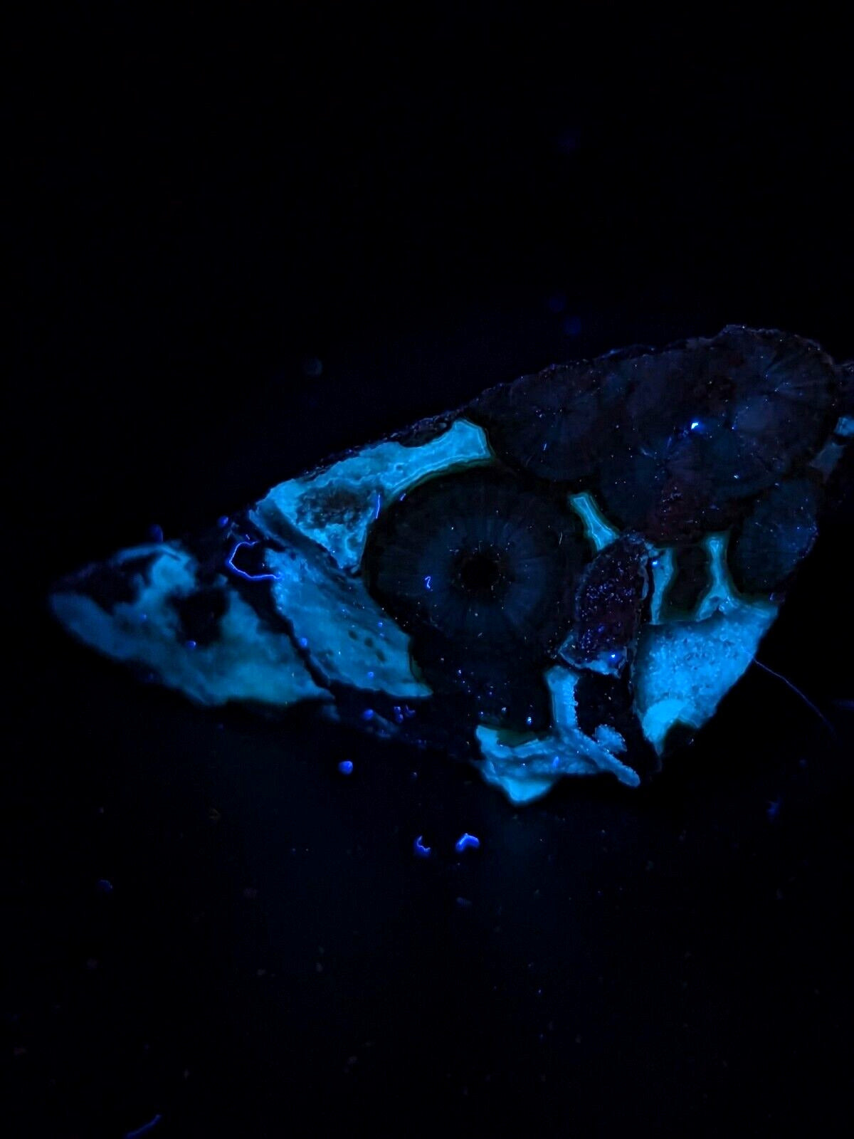 Fluorescent Wavellite - Fantastic Old Stock - Mauldin Mountain Arkansas ooak - Collectibles:Rocks Fossils &