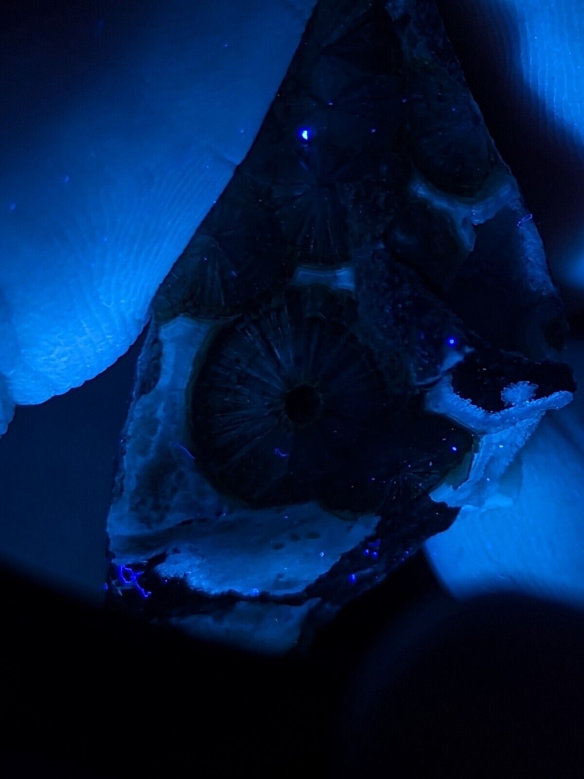 Fluorescent Wavellite - Fantastic Old Stock - Mauldin Mountain Arkansas ooak - Collectibles:Rocks Fossils &