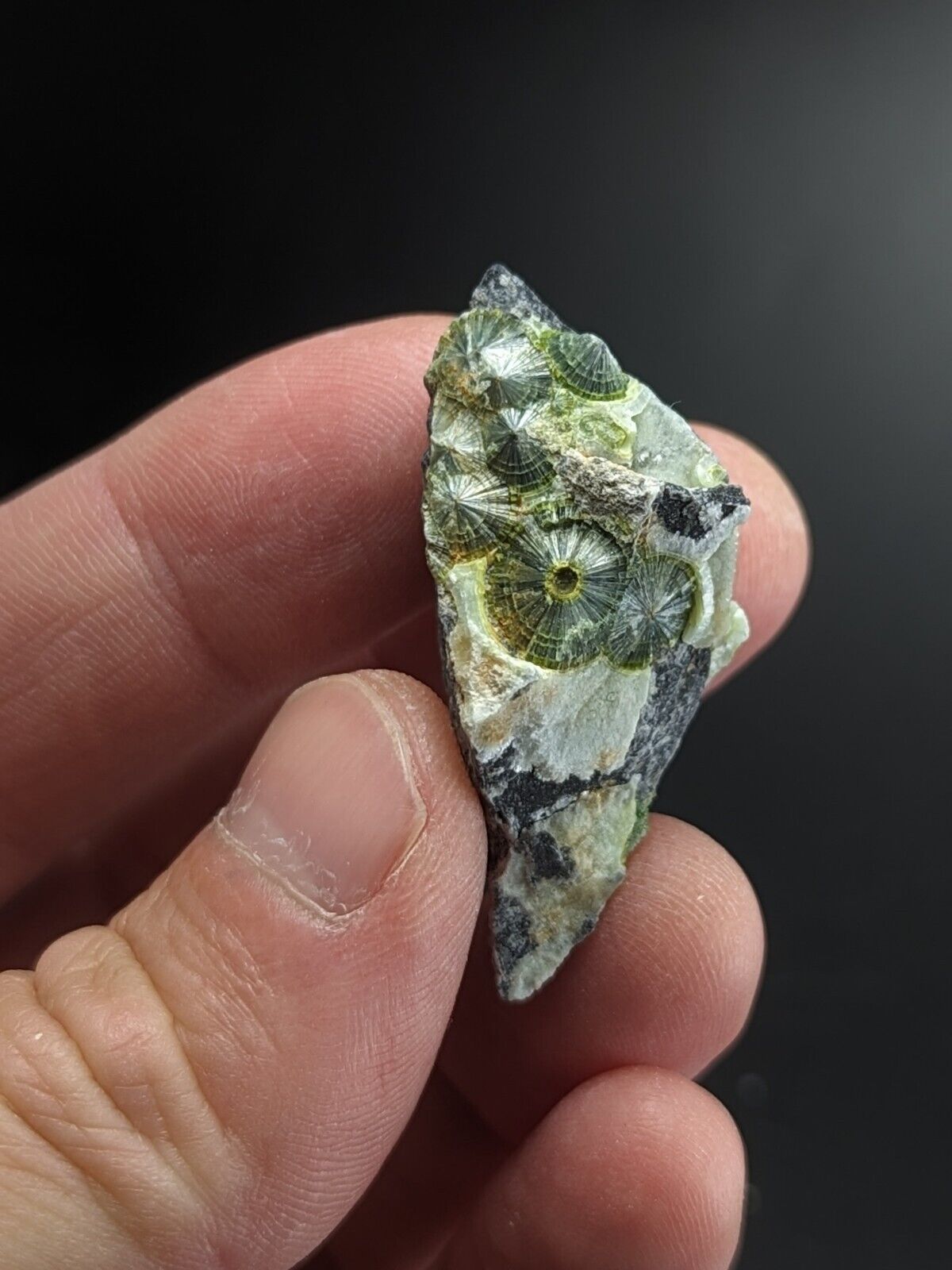 Fluorescent Wavellite - Fantastic Old Stock - Mauldin Mountain Arkansas ooak - Collectibles:Rocks Fossils &
