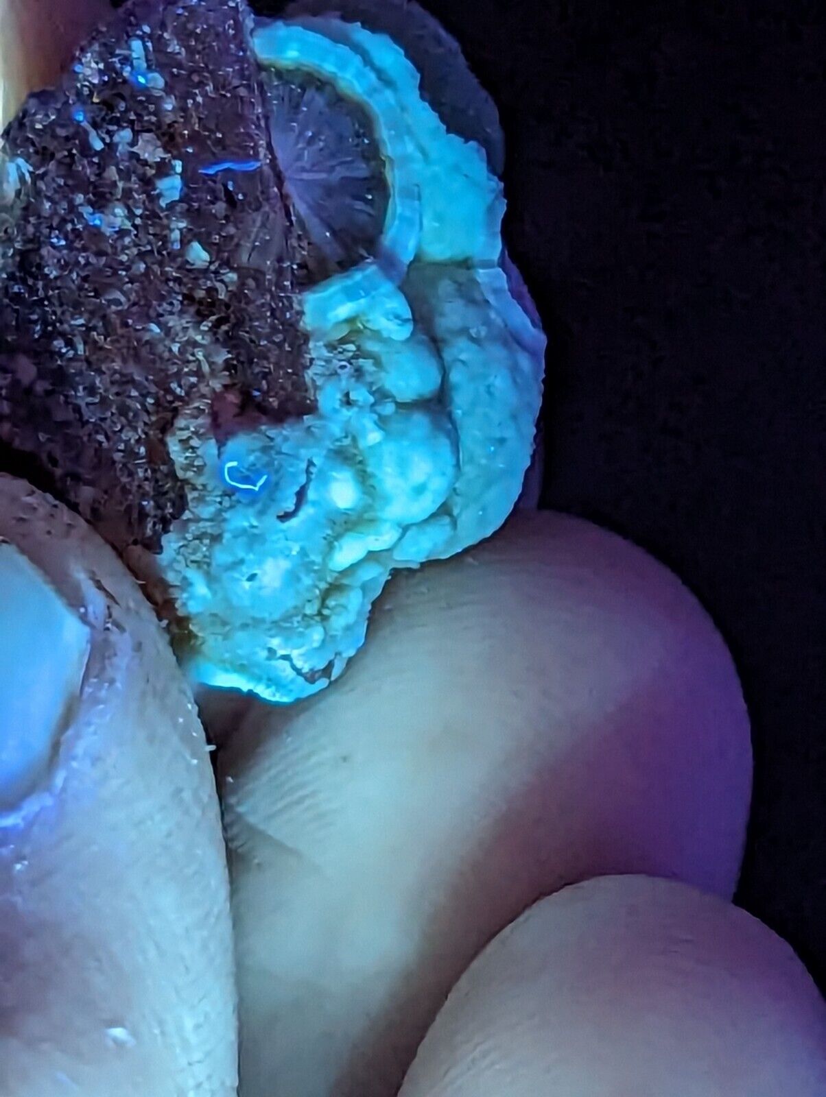 Fluorescent Wavellite - Old Stock - Mauldin Mountain Arkansas Rare and Unique - Collectibles:Rocks Fossils &