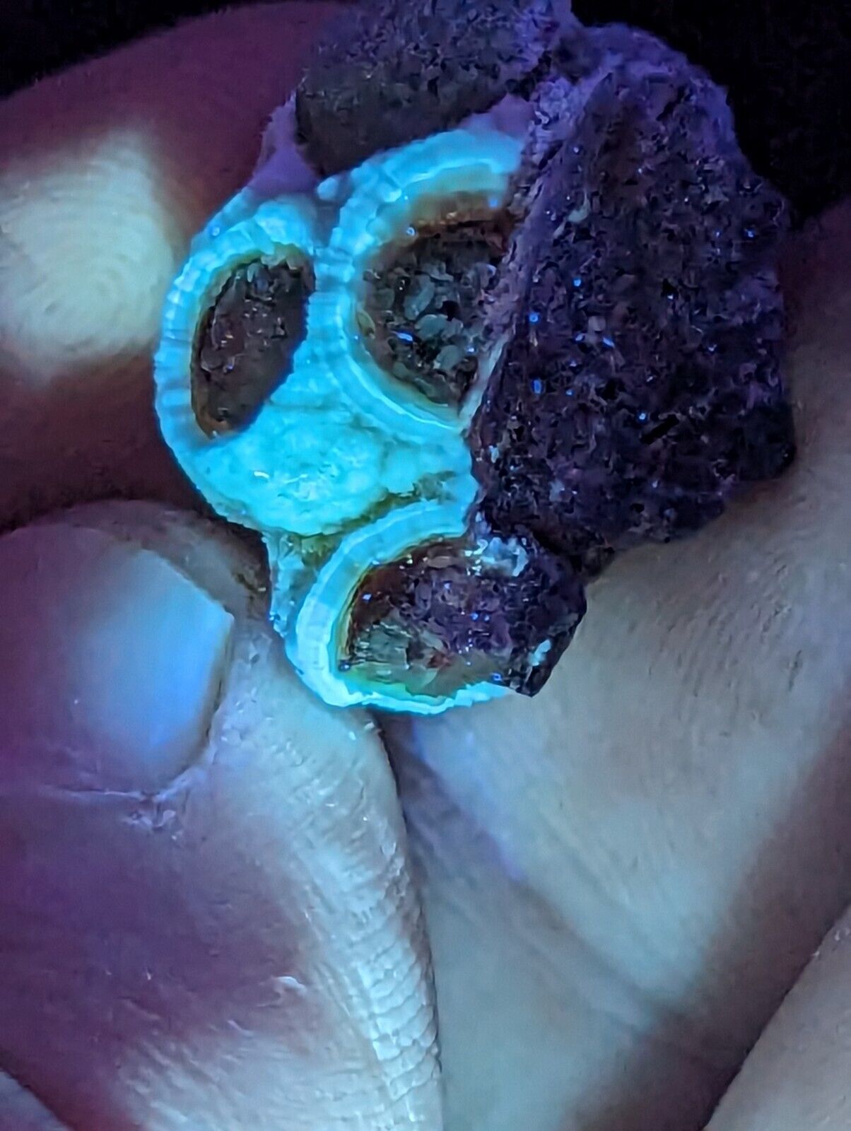 Fluorescent Wavellite - Old Stock - Mauldin Mountain Arkansas Rare and Unique - Collectibles:Rocks Fossils &