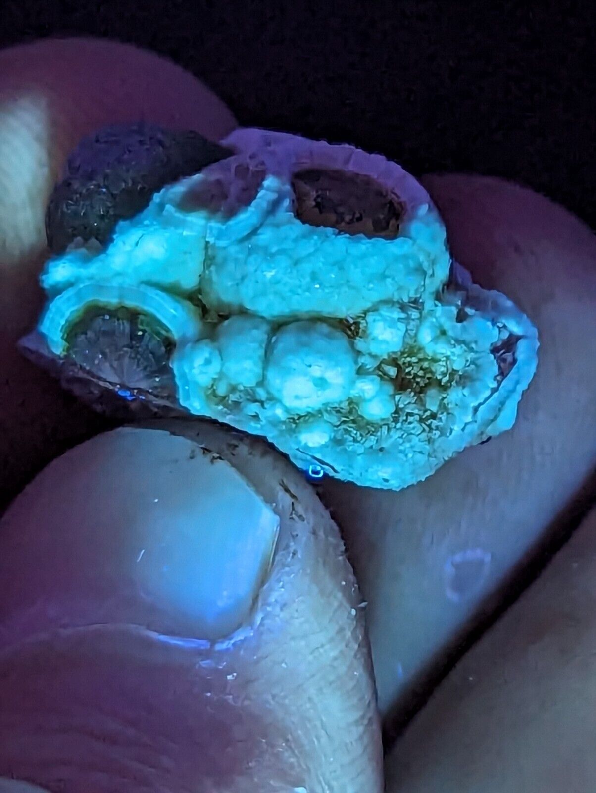 Fluorescent Wavellite - Old Stock - Mauldin Mountain Arkansas Rare and Unique - Collectibles:Rocks Fossils &