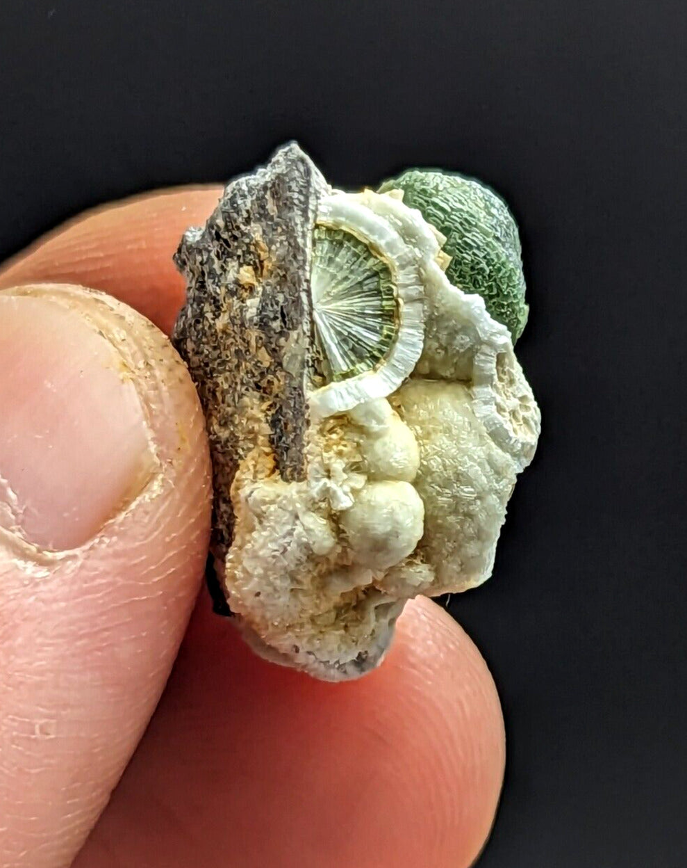 Fluorescent Wavellite - Old Stock - Mauldin Mountain Arkansas Rare and Unique - Collectibles:Rocks Fossils &