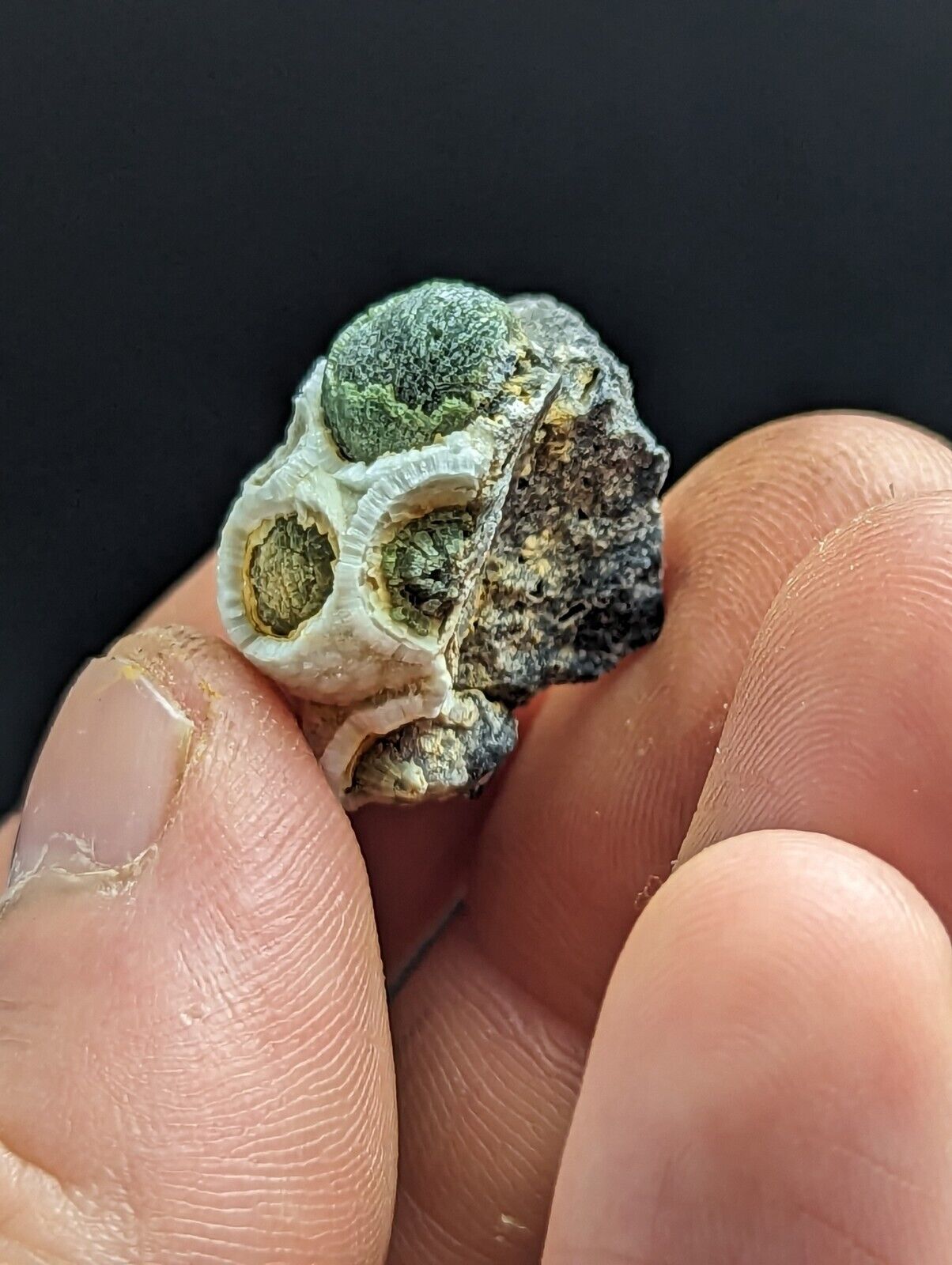 Fluorescent Wavellite - Old Stock - Mauldin Mountain Arkansas Rare and Unique - Collectibles:Rocks Fossils &