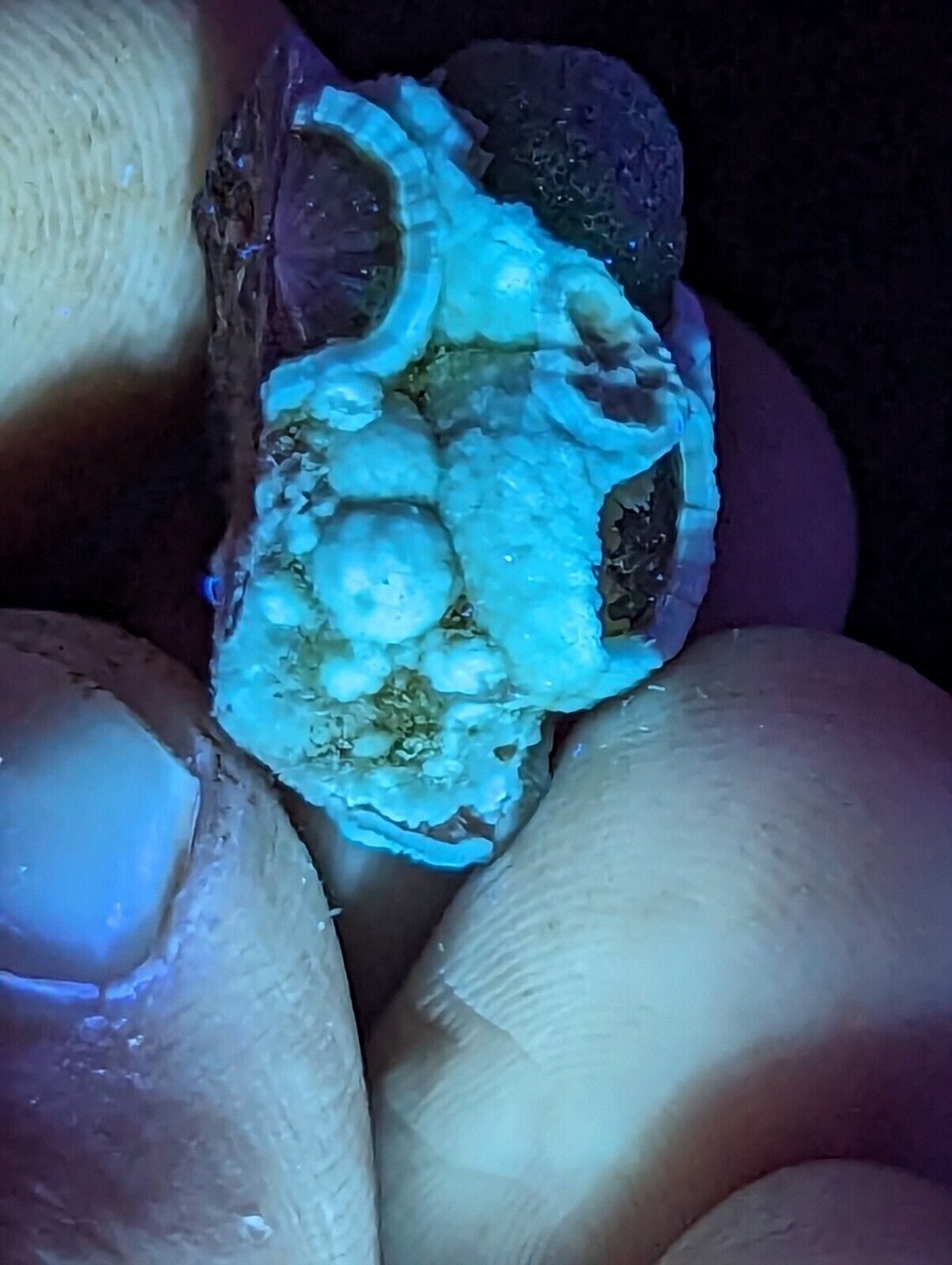 Fluorescent Wavellite - Old Stock - Mauldin Mountain Arkansas Rare and Unique - Collectibles:Rocks Fossils &