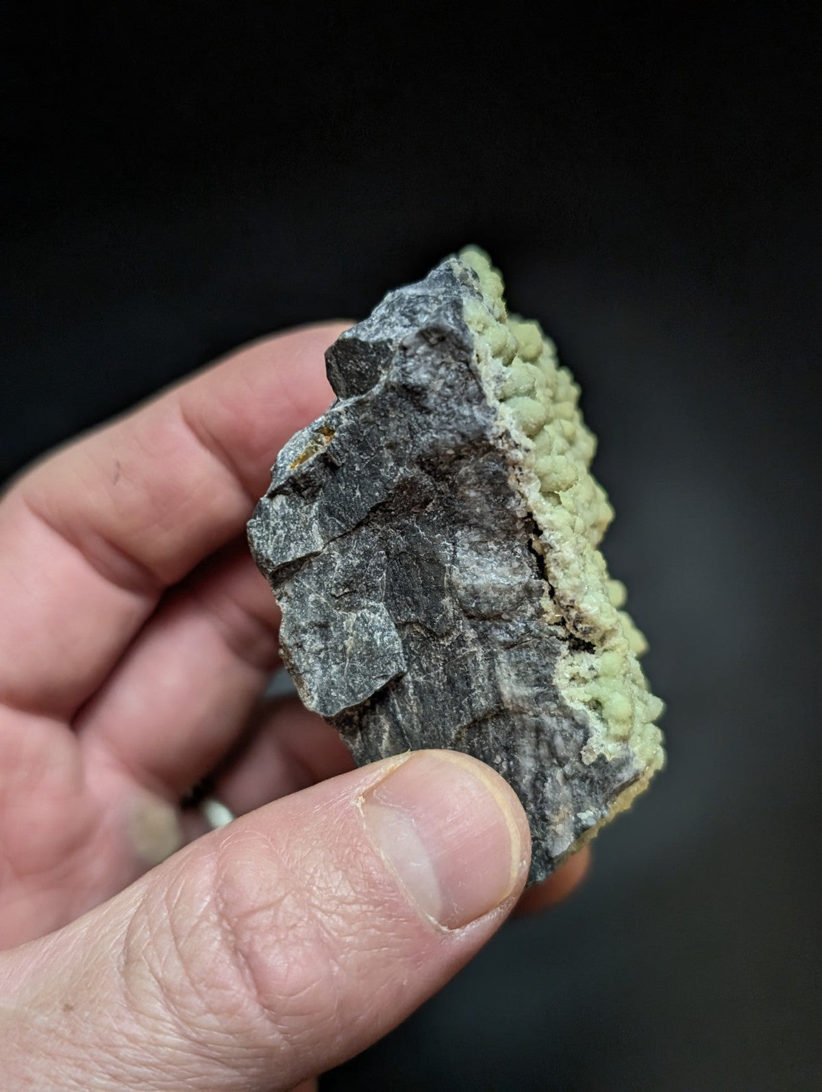 A hand holds a dark gray rock specimen with a textured, bumpy surface and a light green mineral coating along one edge.