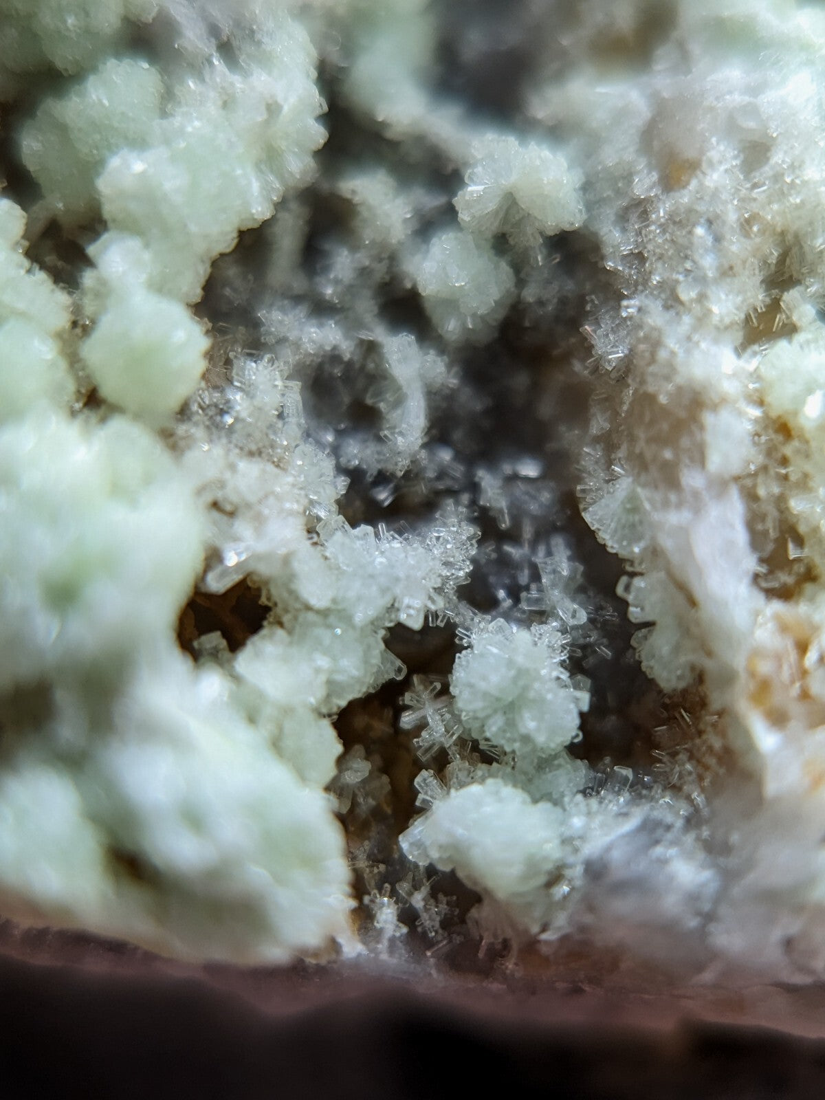 A cluster of translucent, pale green crystalline formations with delicate, branching structures.