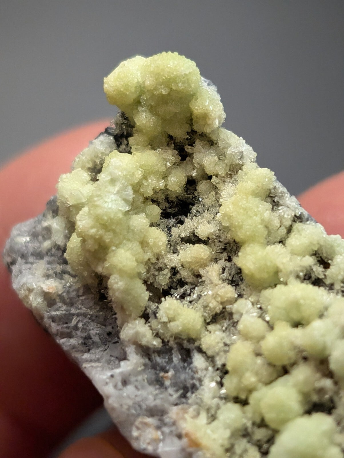 A pale yellow, crystalline mineral specimen with a rough, textured surface growing from a darker gray rock base.