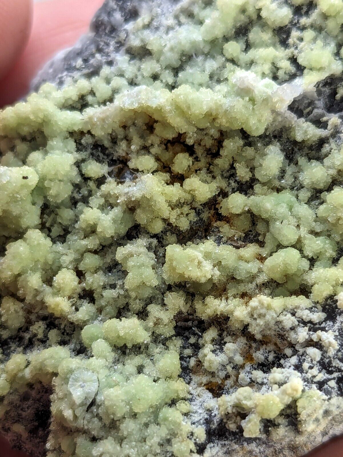 A cluster of pale green, crystalline mineral formations growing densely over a dark, rough-textured rock base.