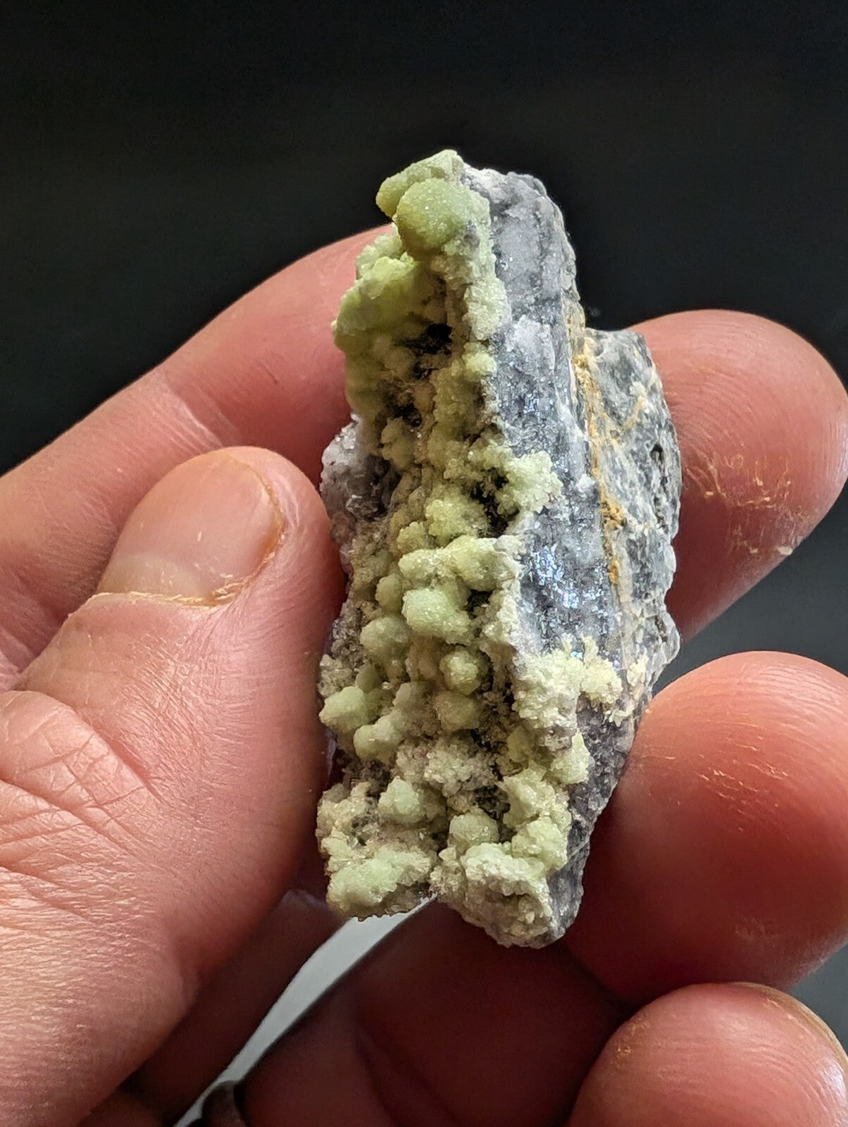 A hand holds a geological specimen featuring vibrant green, rounded mineral crystals growing from a grayish rock matrix.