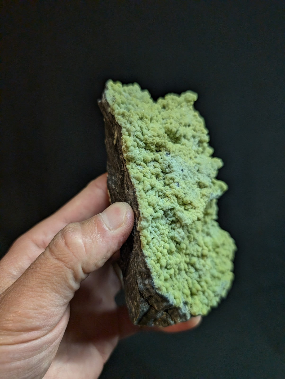 A hand holds a dark, rough-textured rock with vibrant green mineral crystals growing densely along its surface.