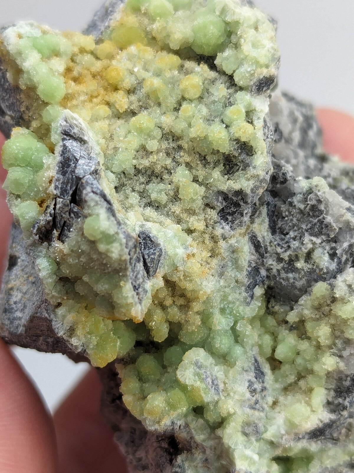 A vibrant green and yellow mineral specimen with crystalline formations growing over a dark, textured rock base.
