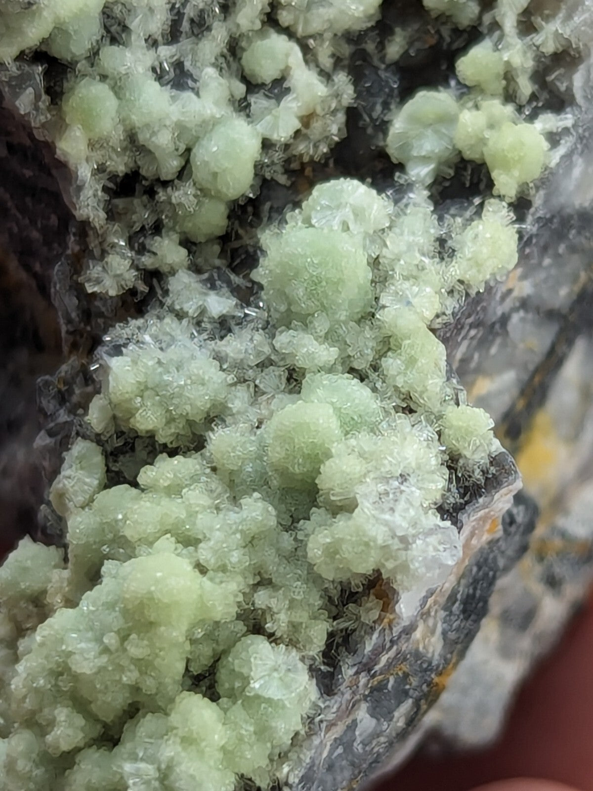 A cluster of translucent, pale green crystals with a fuzzy, moss-like texture growing from a dark, rocky matrix.