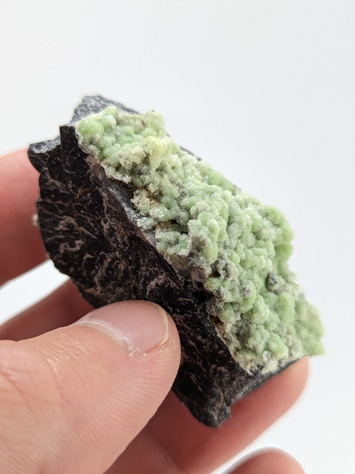 A hand holds a dark, rough-textured rock specimen featuring vibrant light green crystalline formations.