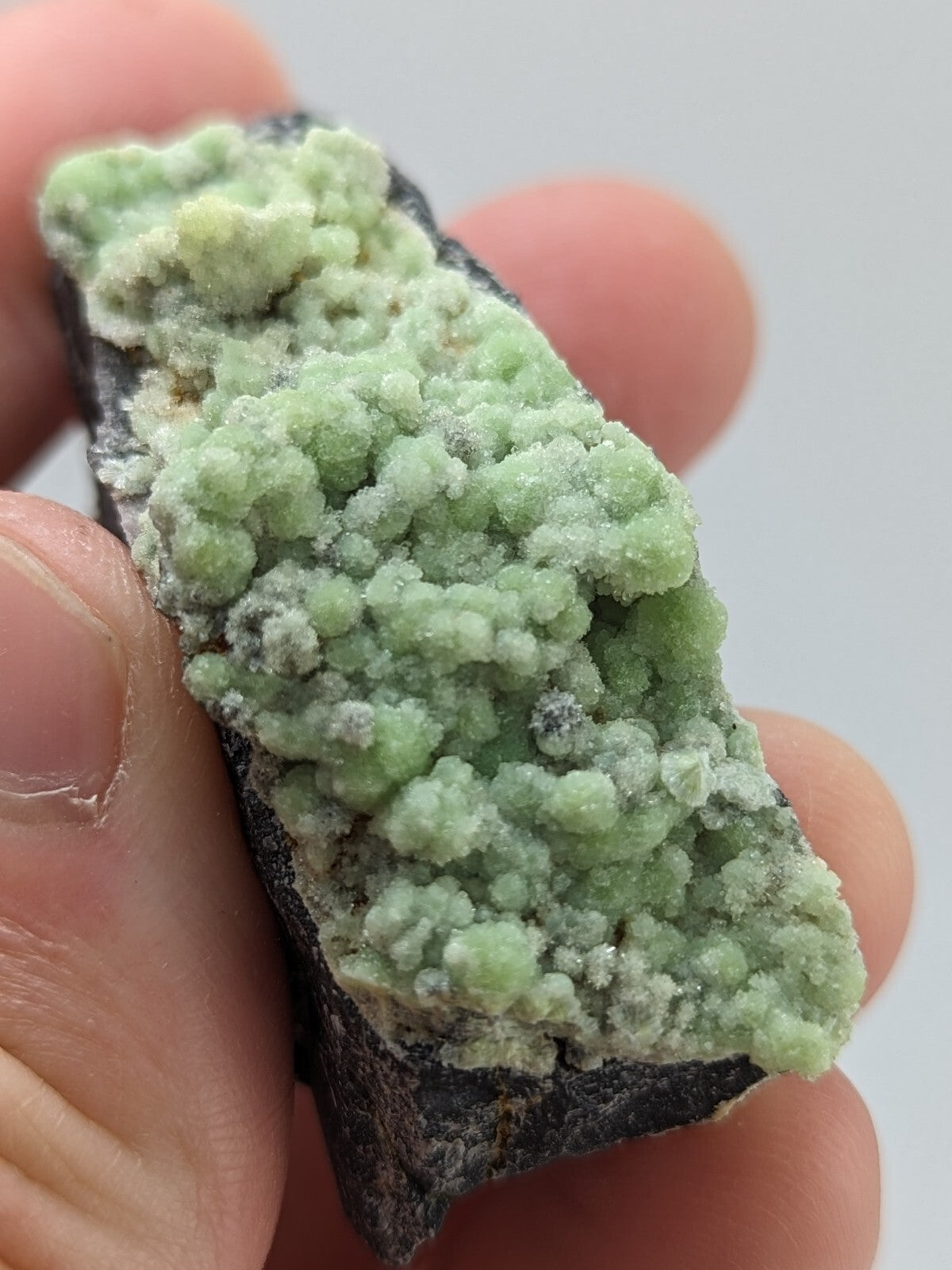 A hand holds a dark, irregularly shaped rock specimen featuring clusters of light green, crystalline formations with some white and grayish patches.