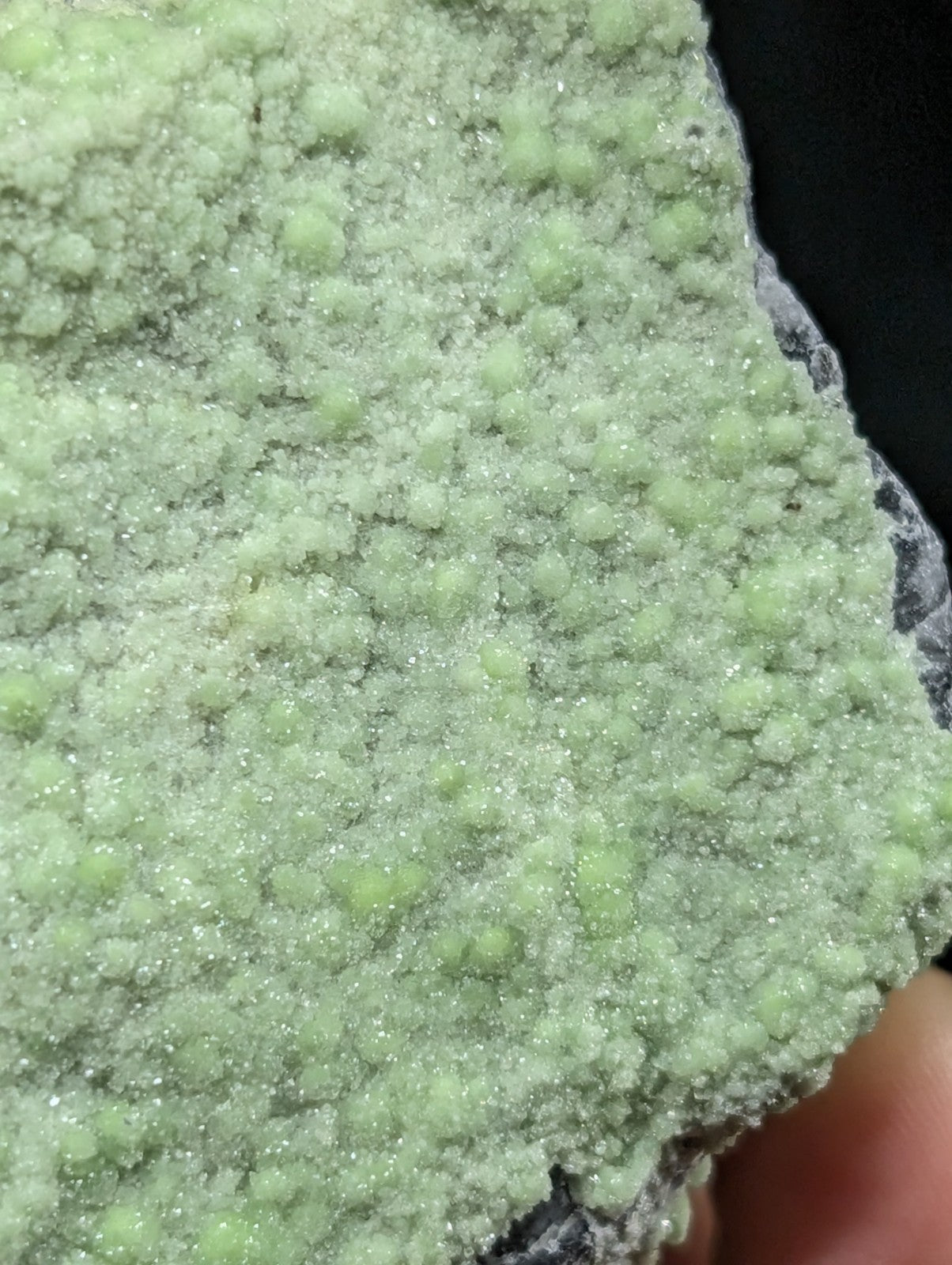 A pale green, crystalline mineral specimen with a textured surface of rounded, glittering formations.