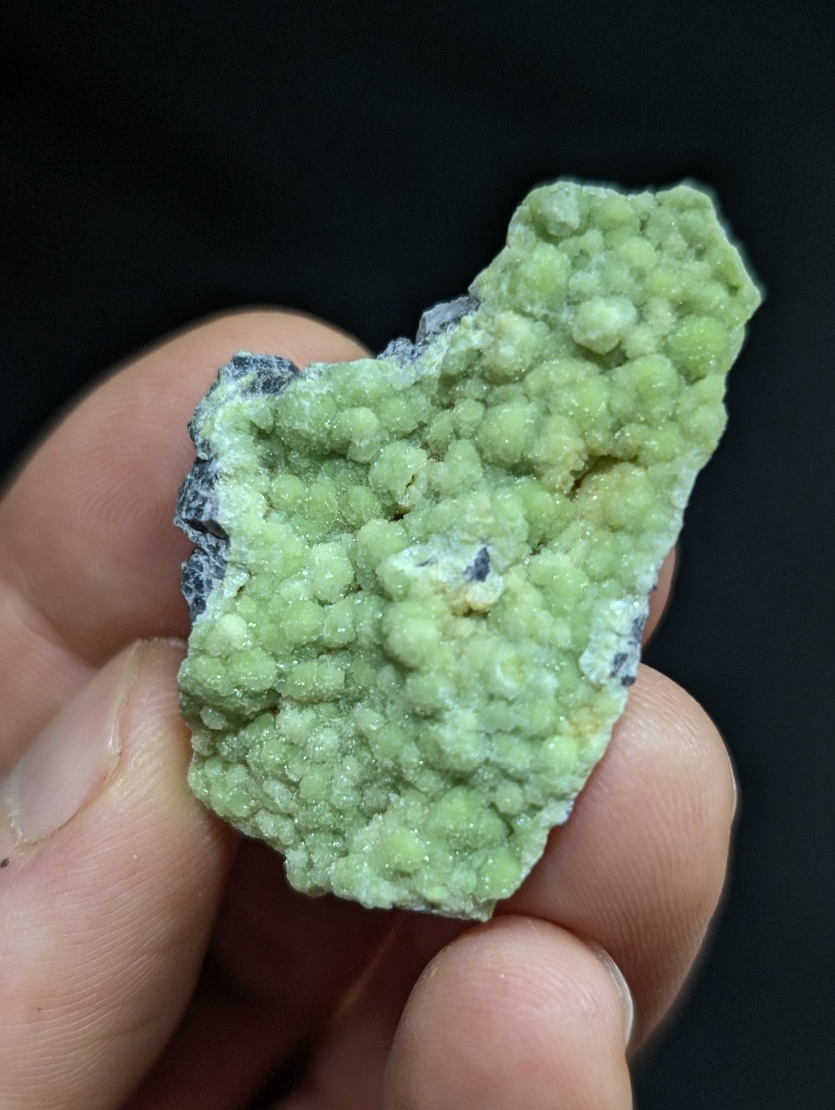 A hand holds a light green, textured mineral specimen with rounded crystalline formations and dark gray matrix.