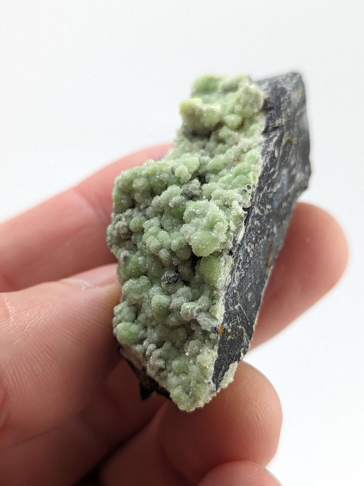 A hand holds a mineral specimen featuring vibrant green, clustered crystals growing from a dark gray rock base.