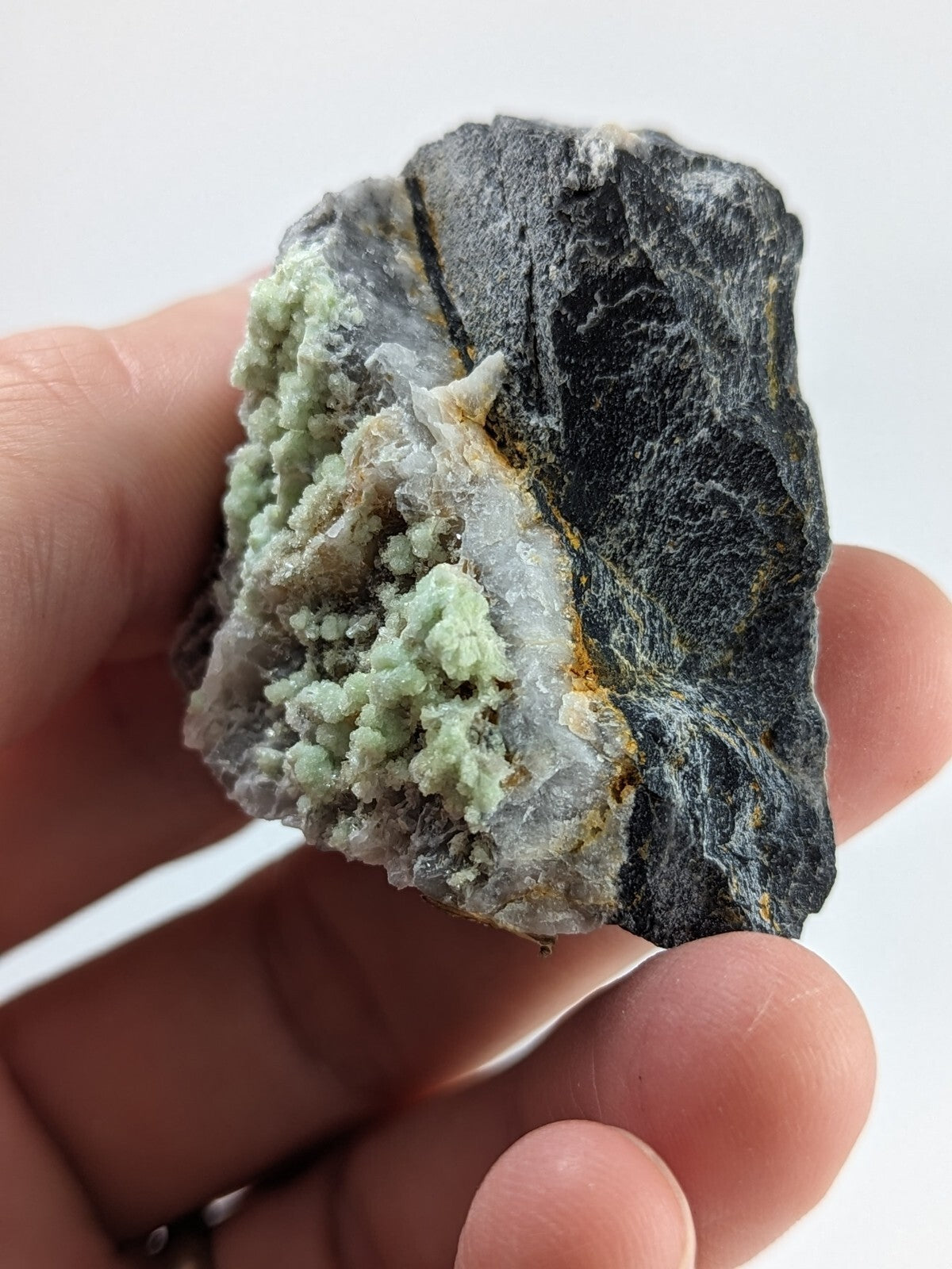 A hand holds a dark gray rock specimen featuring vibrant light green, crystalline formations.