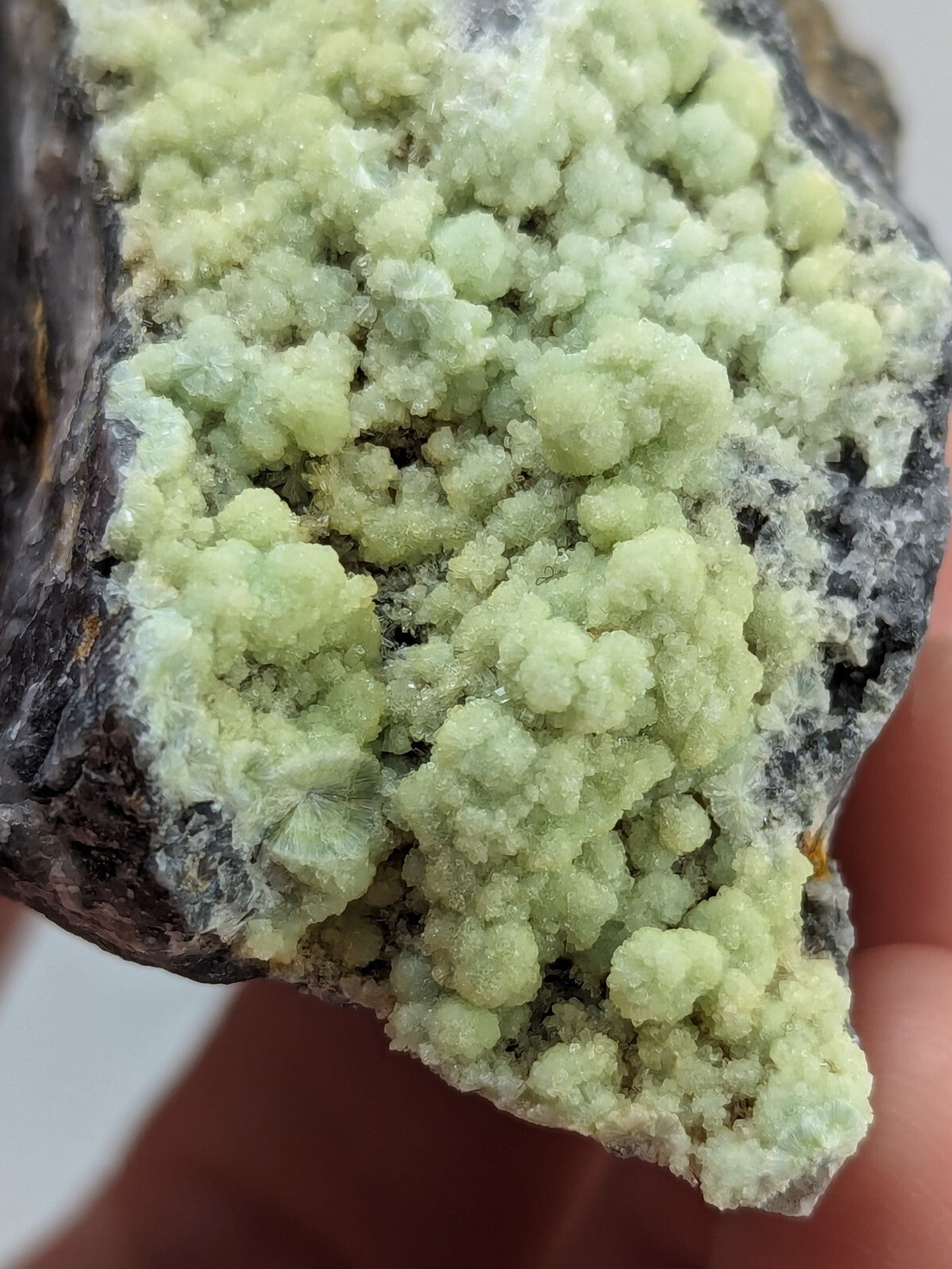 A cluster of pale green, crystalline mineral formations growing densely on a dark, rough-textured rock matrix.