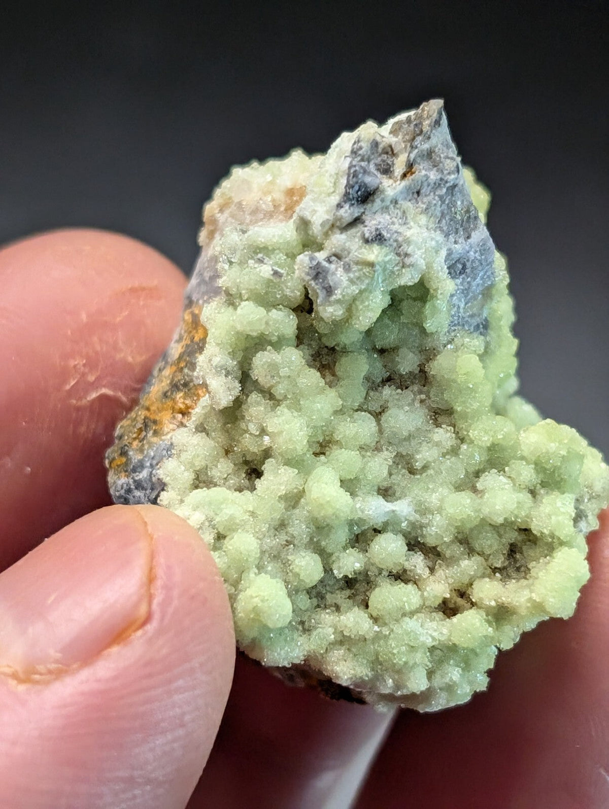 A hand holds a mineral specimen featuring clusters of pale green, rounded crystals growing from a darker gray and brown rock base.