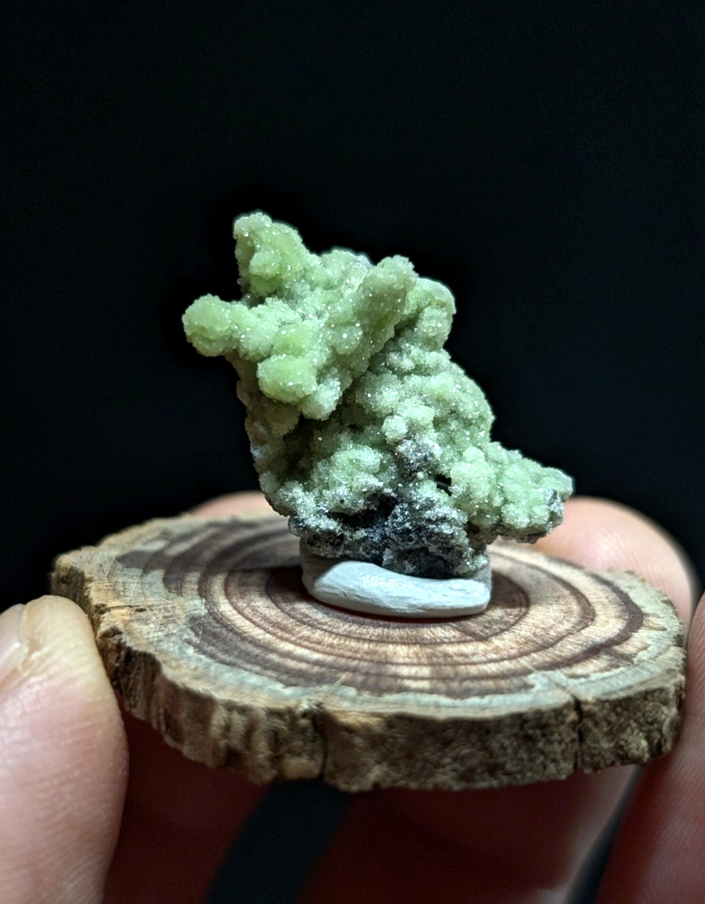 A delicate, light green crystalline mineral specimen with a textured, branching structure and subtle white accents.
